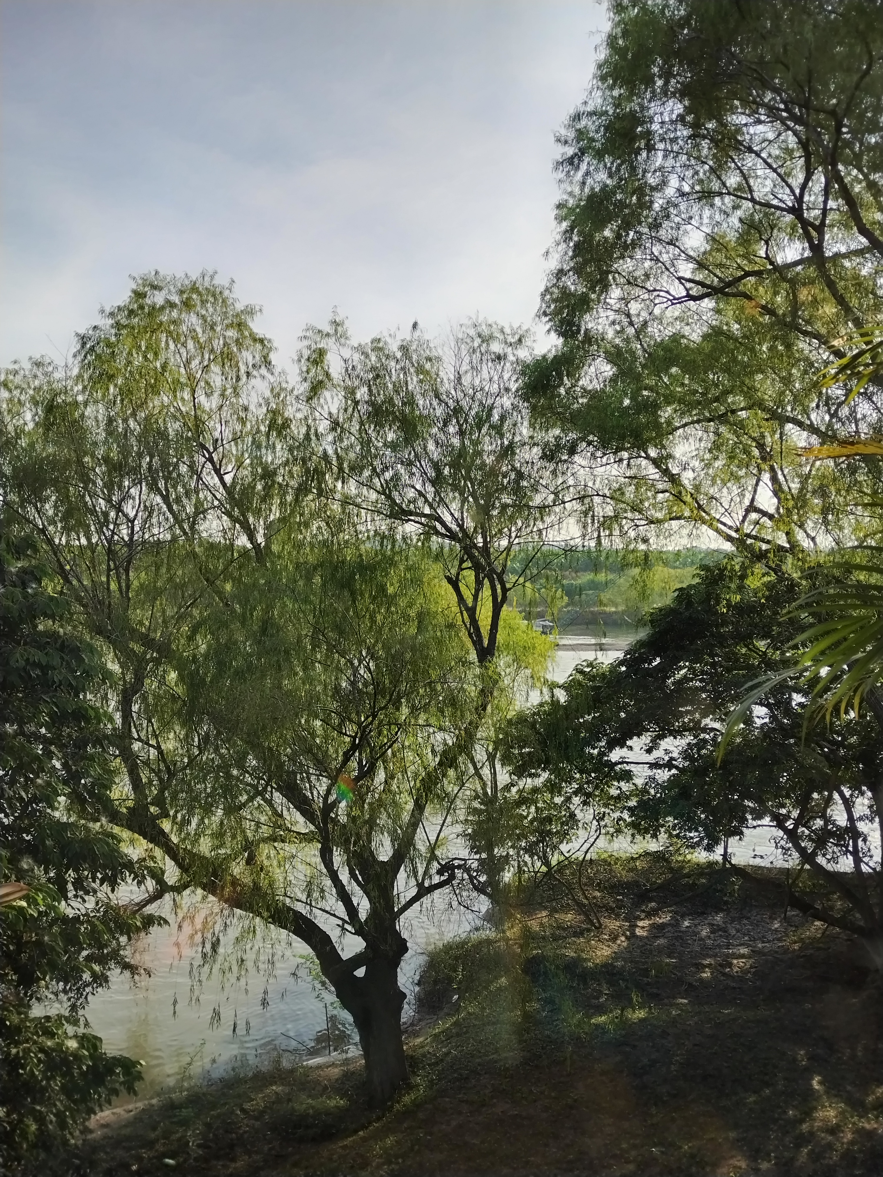 Restaurant/ bar "La carreta" image 6