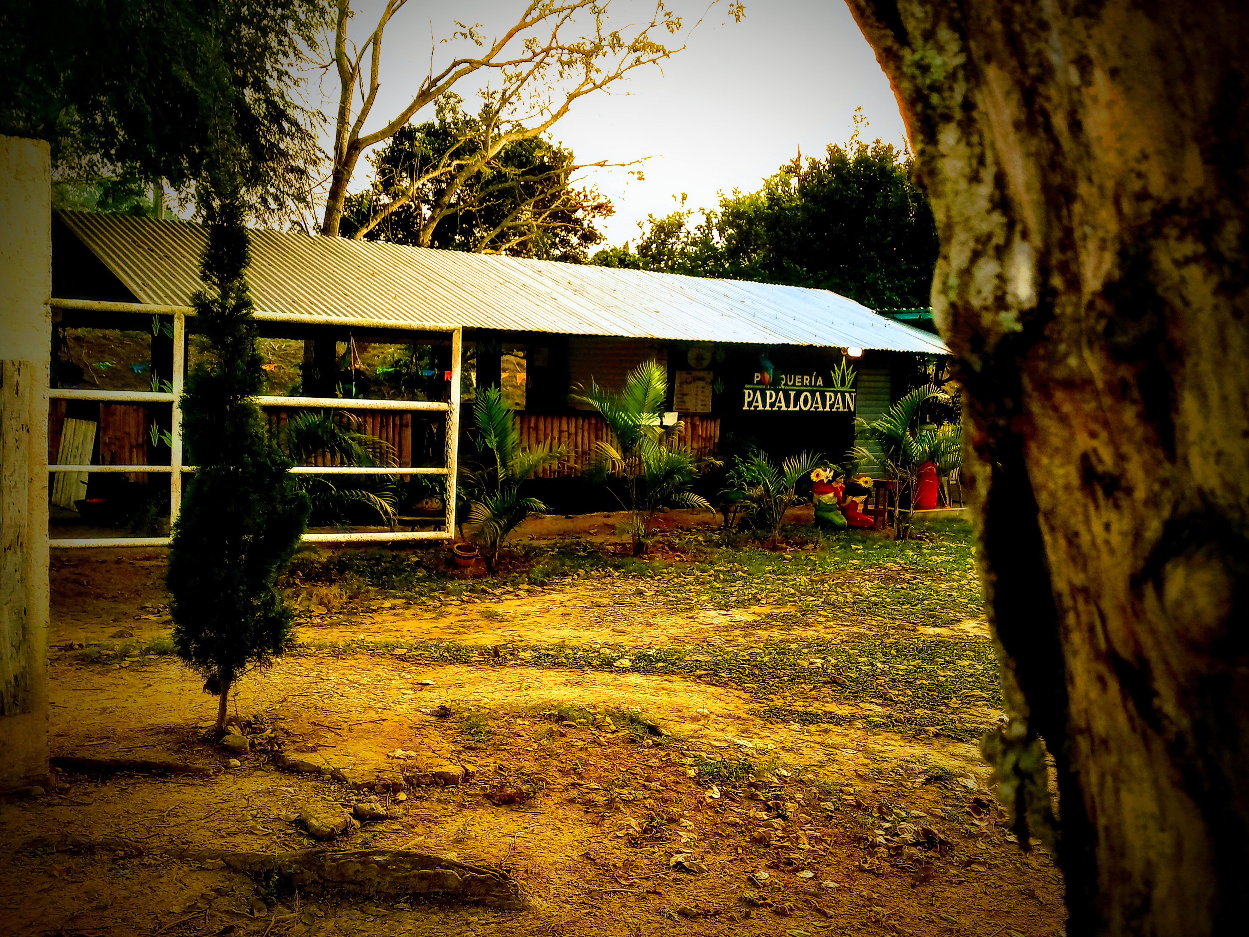 PULQUERÍA PAPALOAPAN image 3