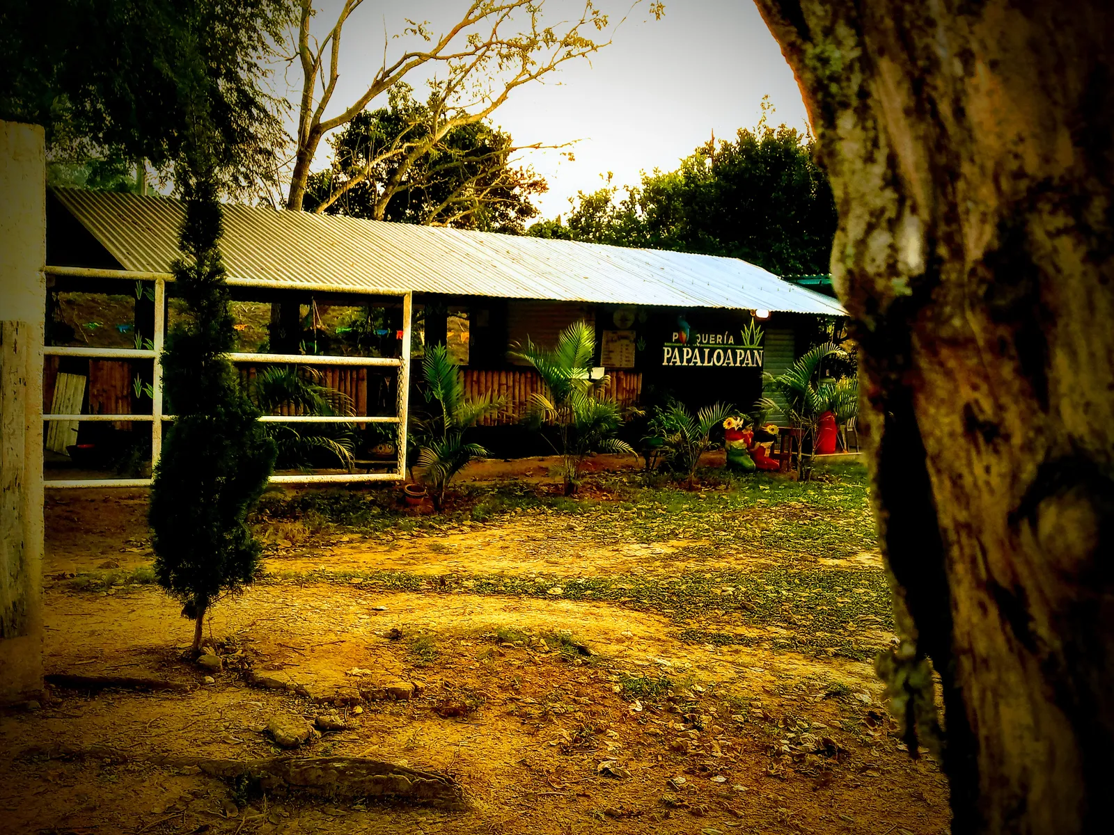 PULQUERÍA PAPALOAPAN image 3