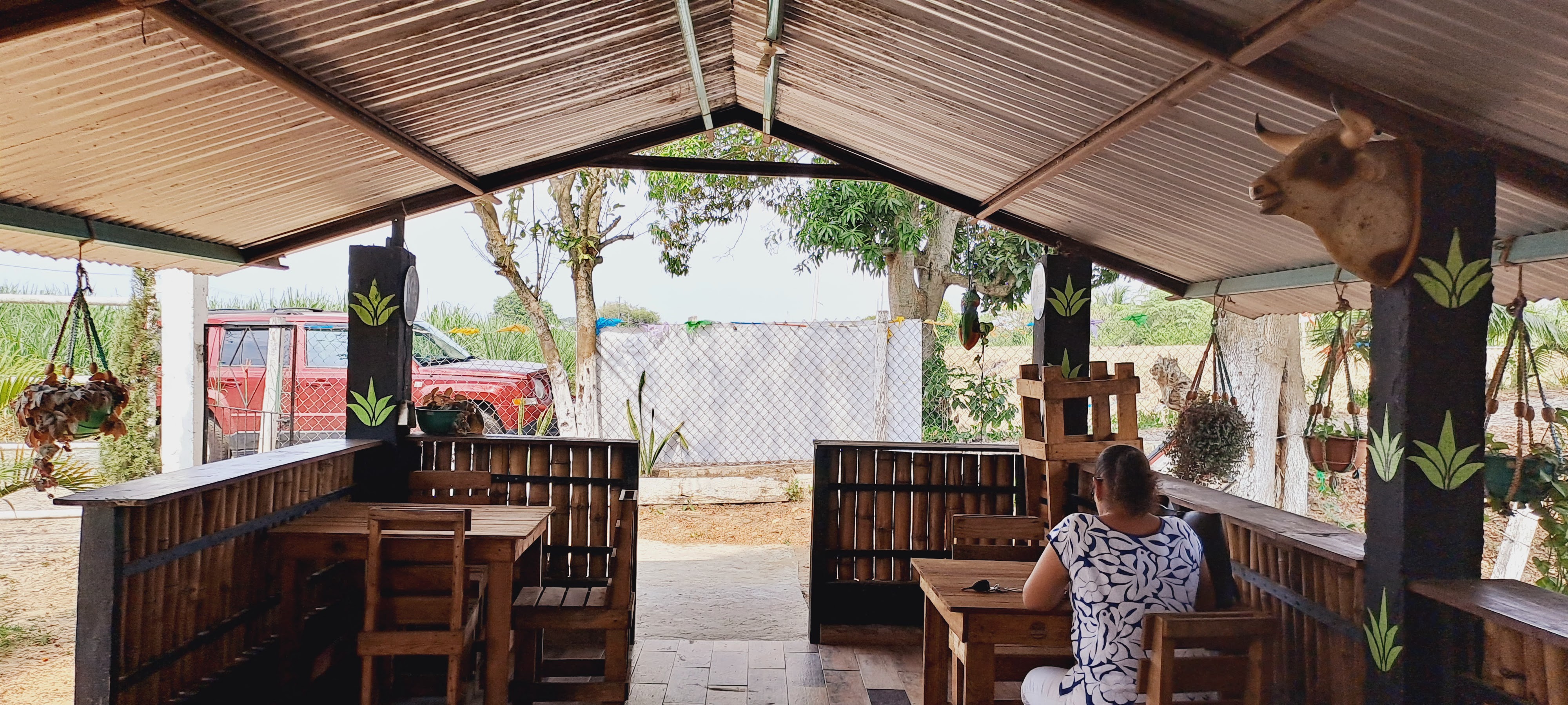 PULQUERÍA PAPALOAPAN image 5