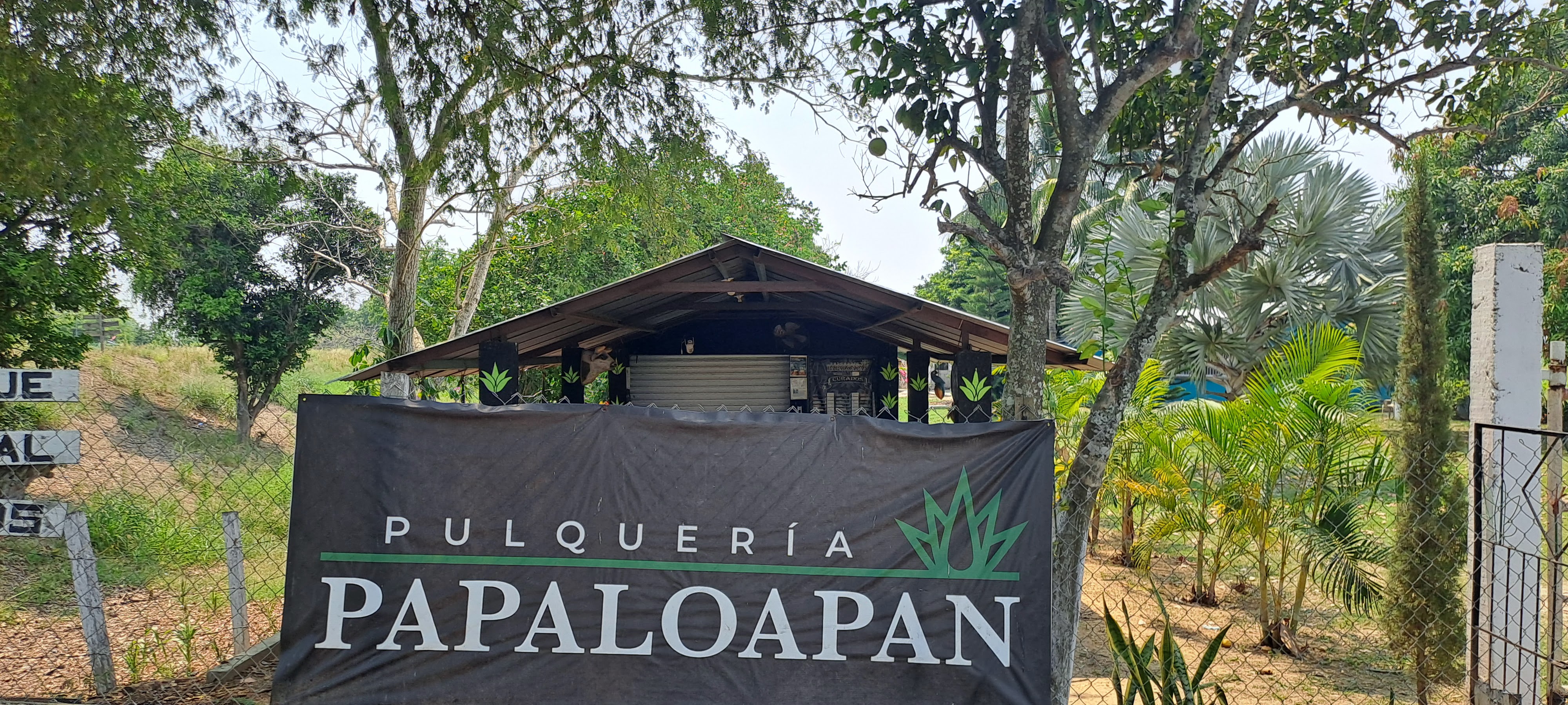 PULQUERÍA PAPALOAPAN image 9