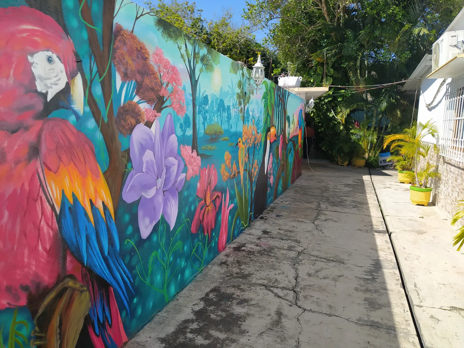 La Chinampa image 6