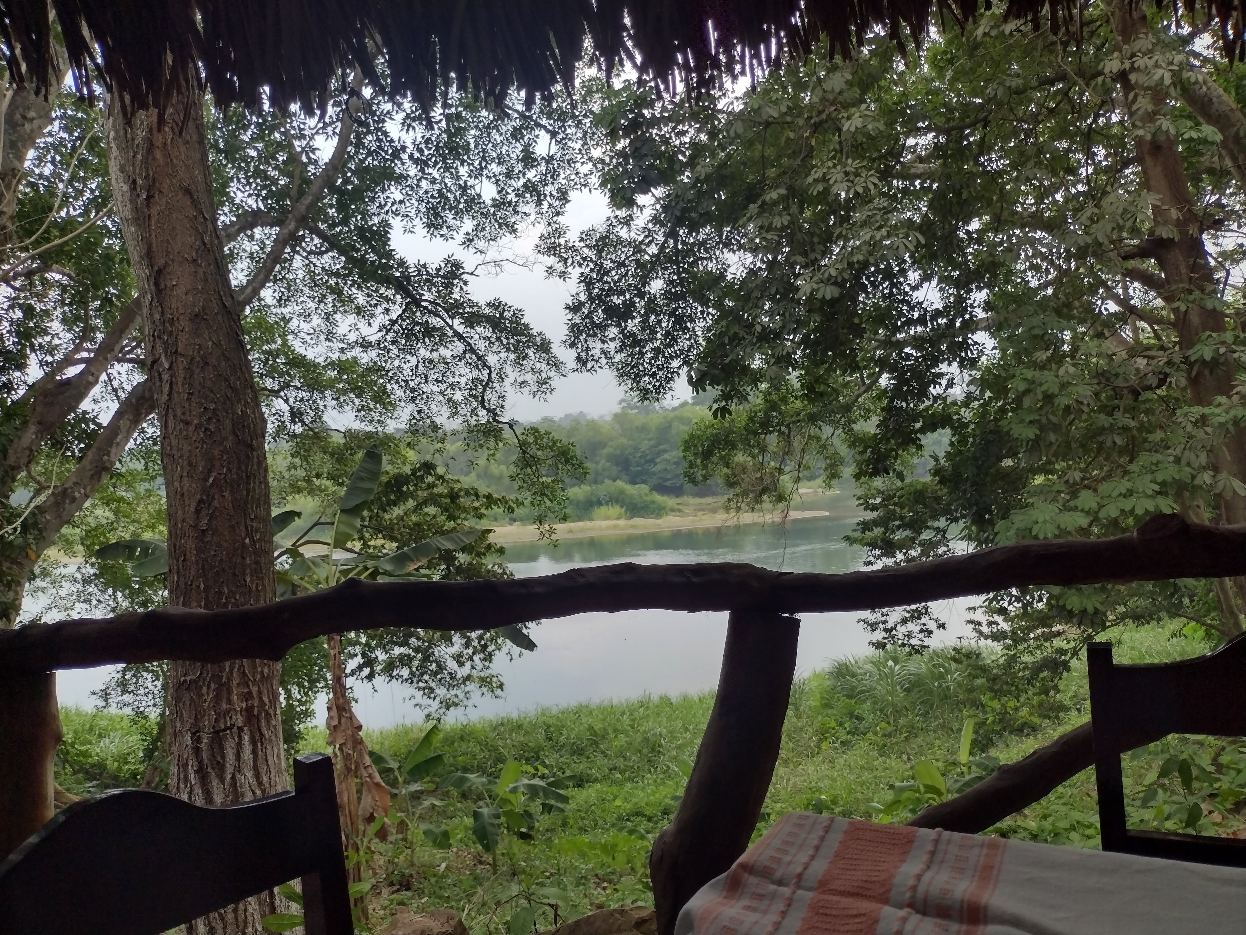 Salsa Restaurant image 4