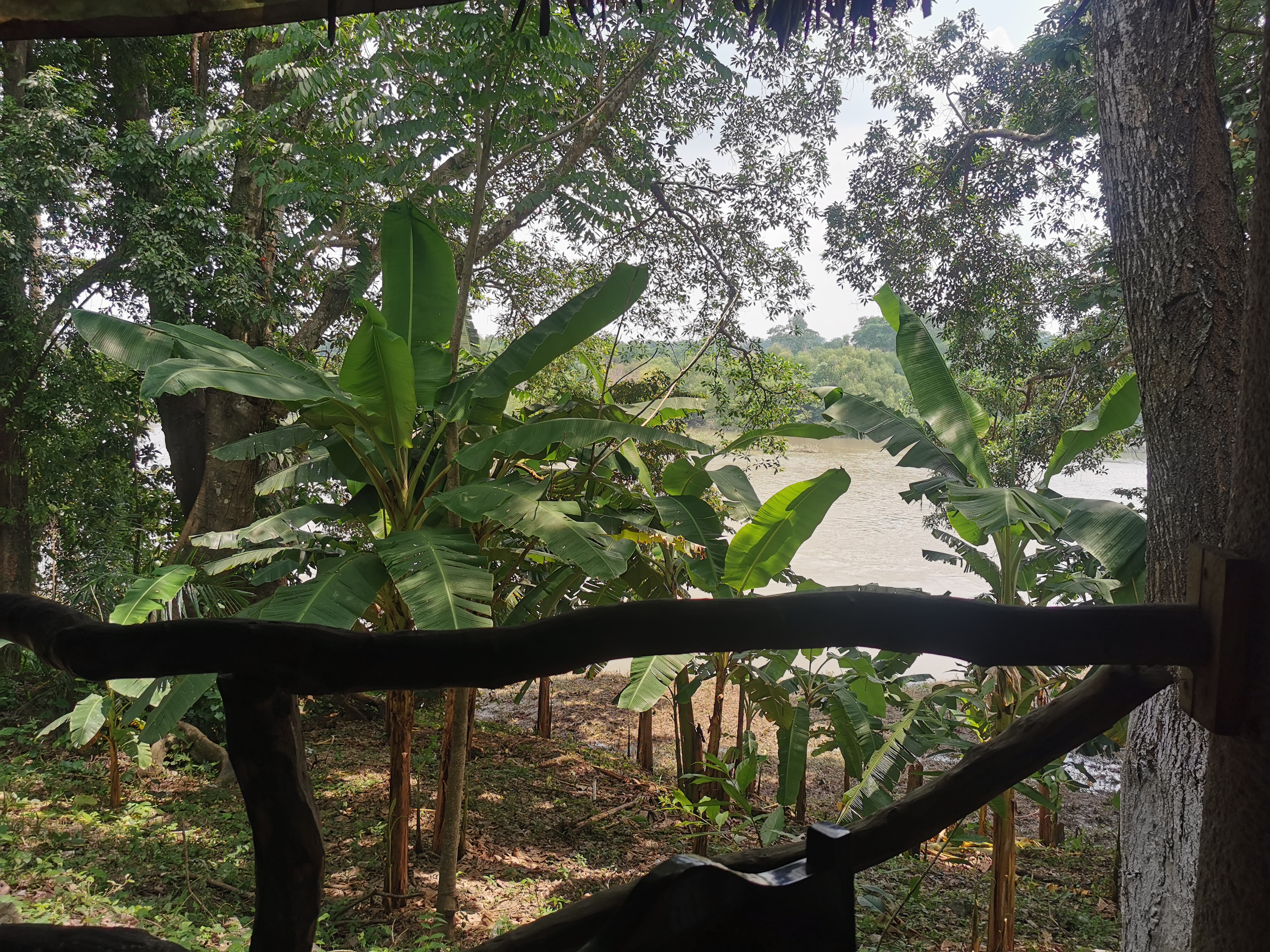 Salsa Restaurant image 7