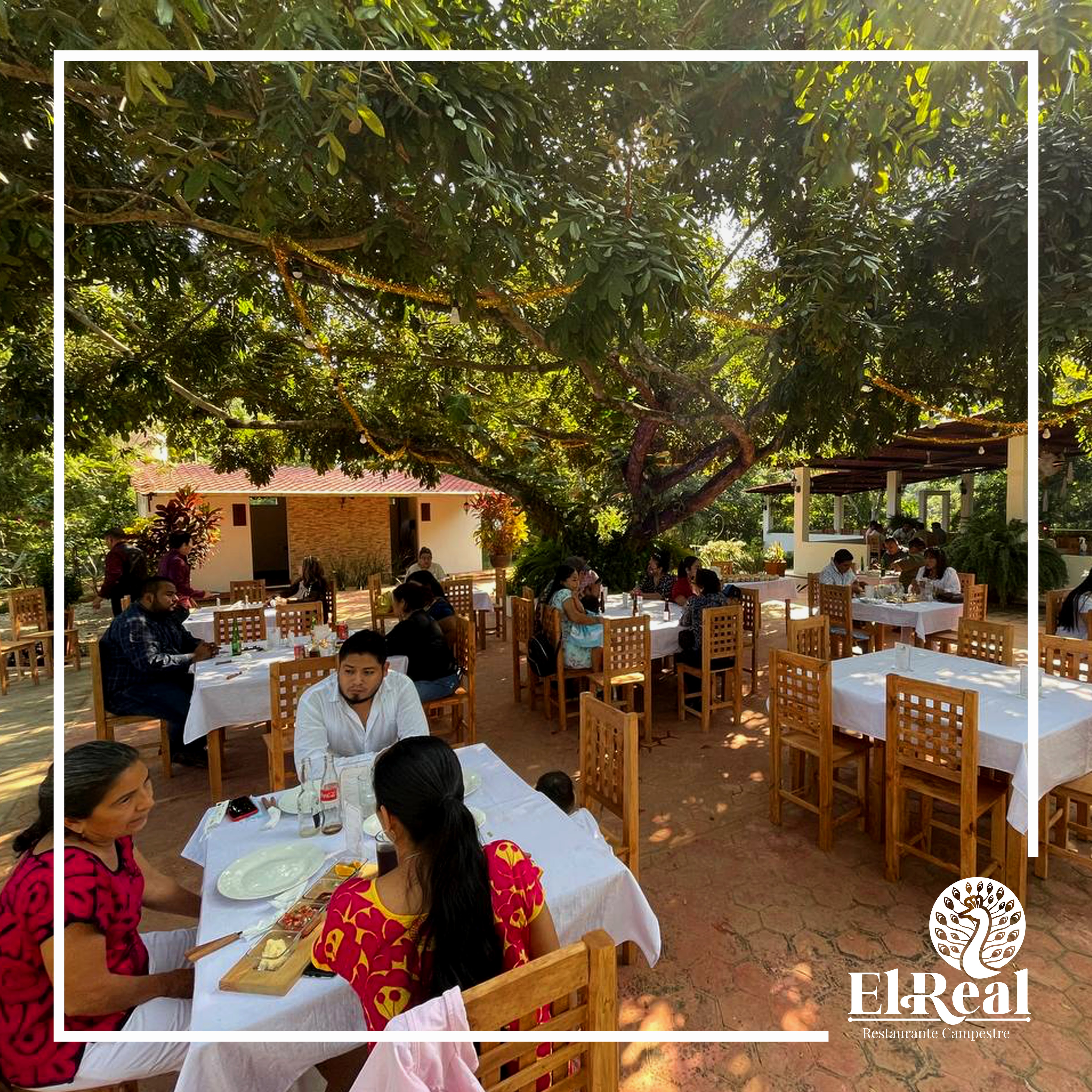 El Real Restaurante Campestre image 1