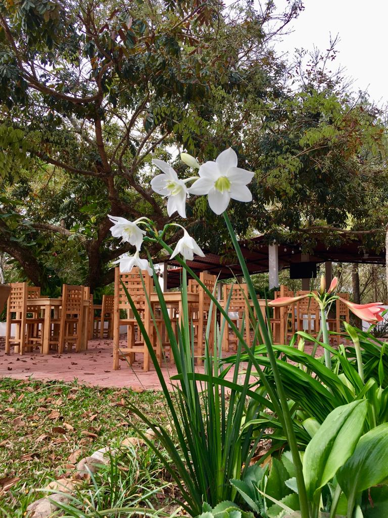 El Real Restaurante Campestre image 7