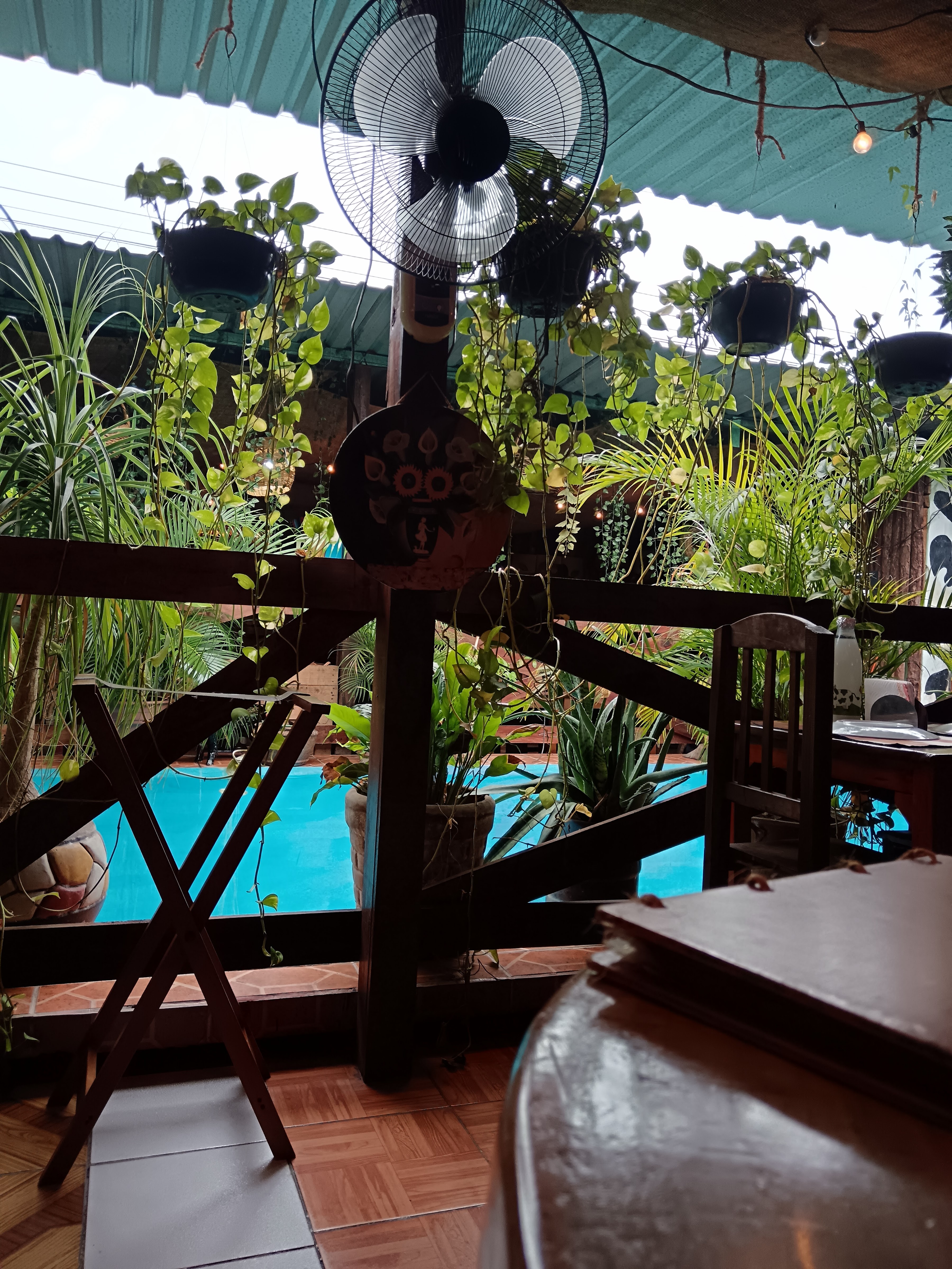 Asadero Bonanza image 5