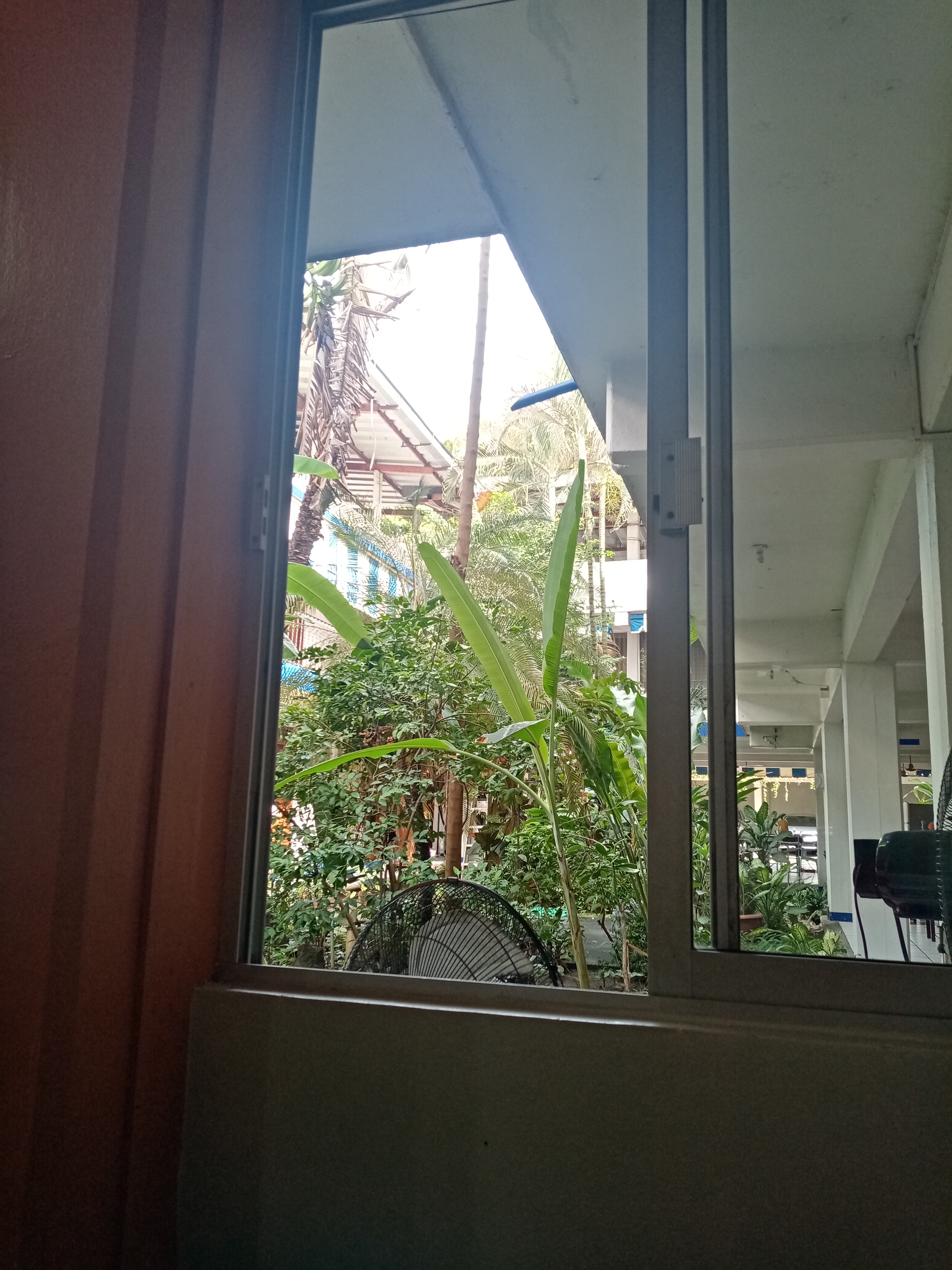 RESTAURANT PASO REAL image 8