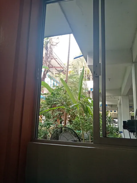 RESTAURANT PASO REAL image 8