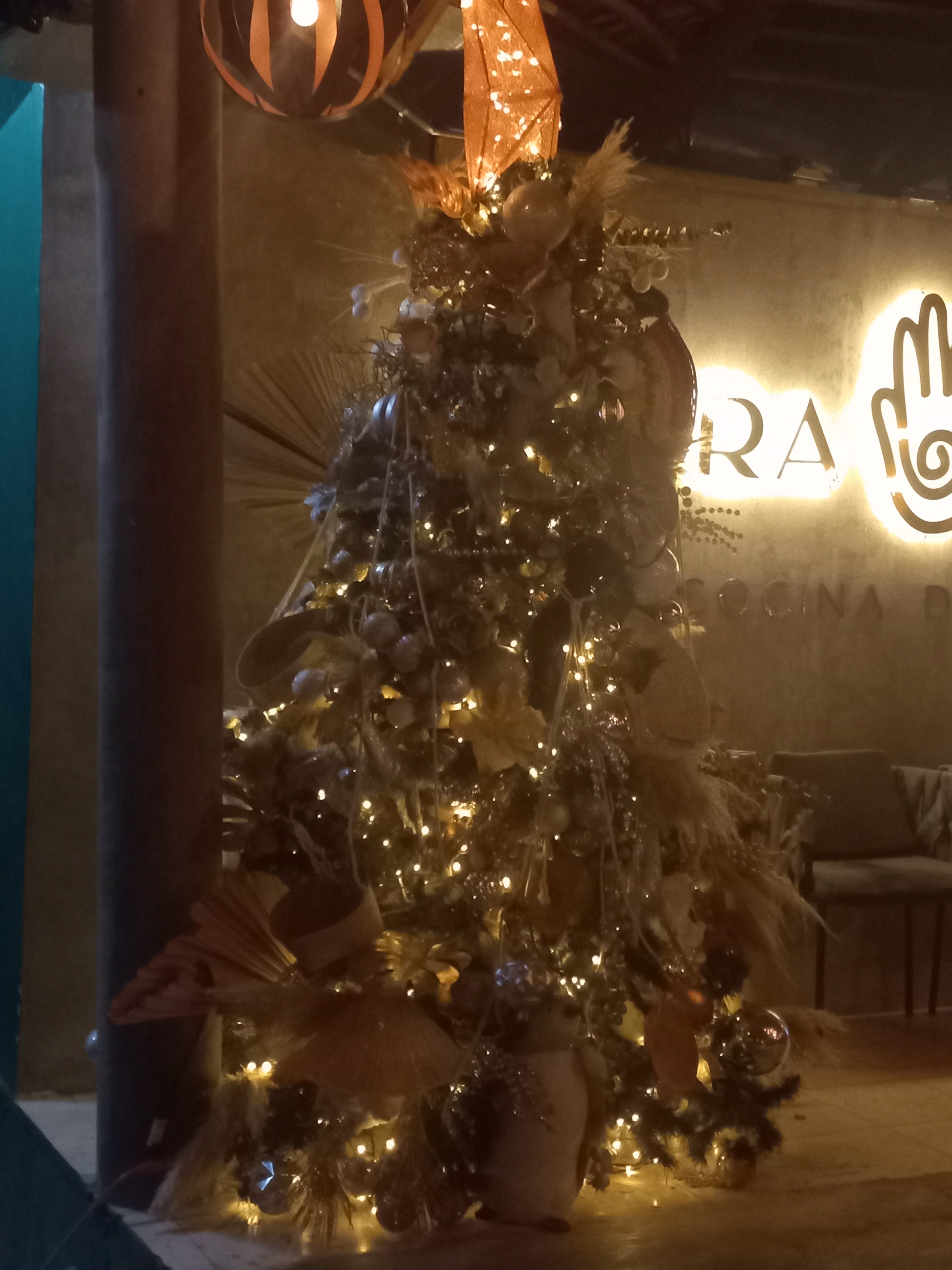 TIERRA JUAREZ image 10