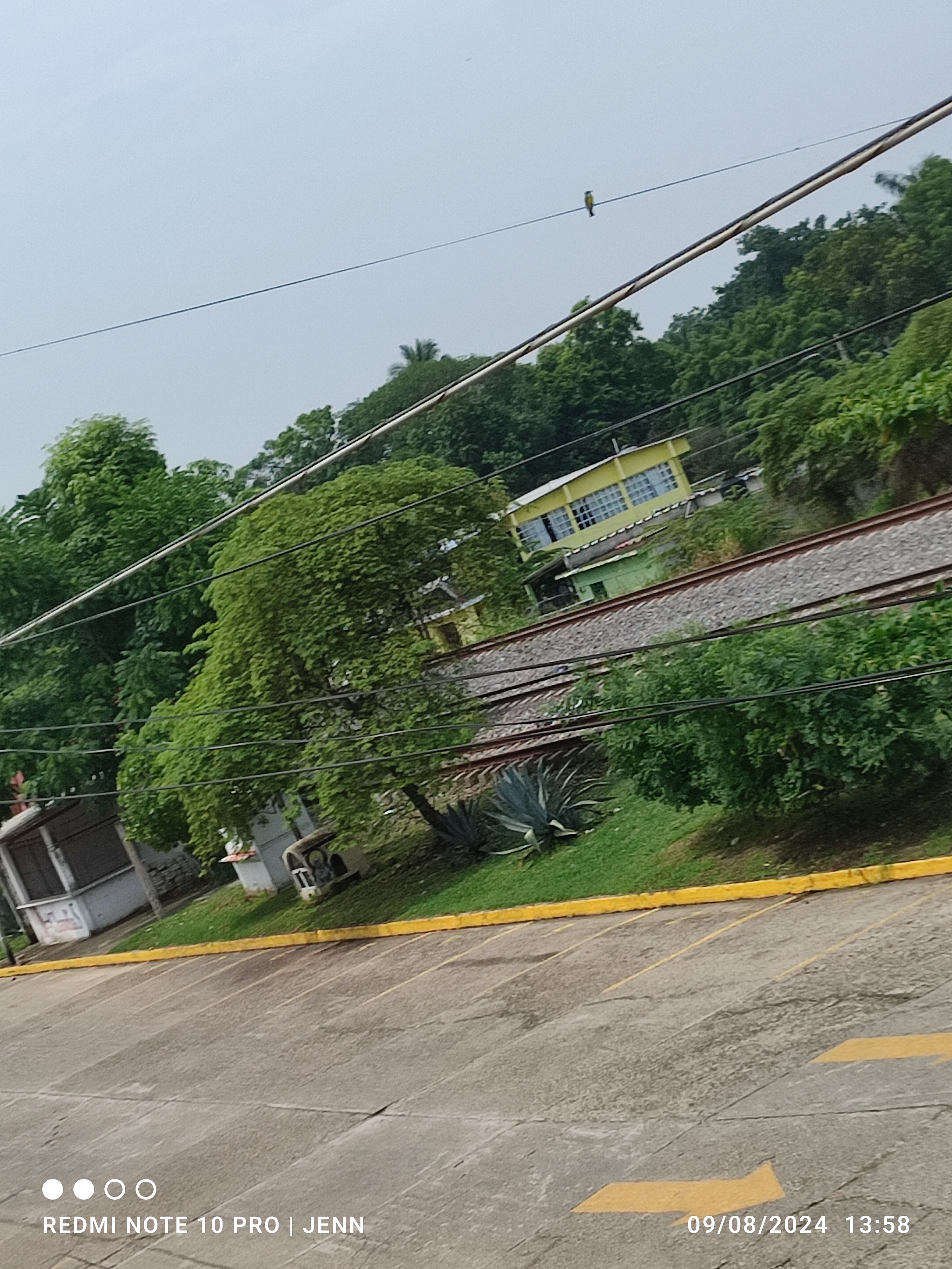 Restaurante "Los Tres Hermanos" image 4