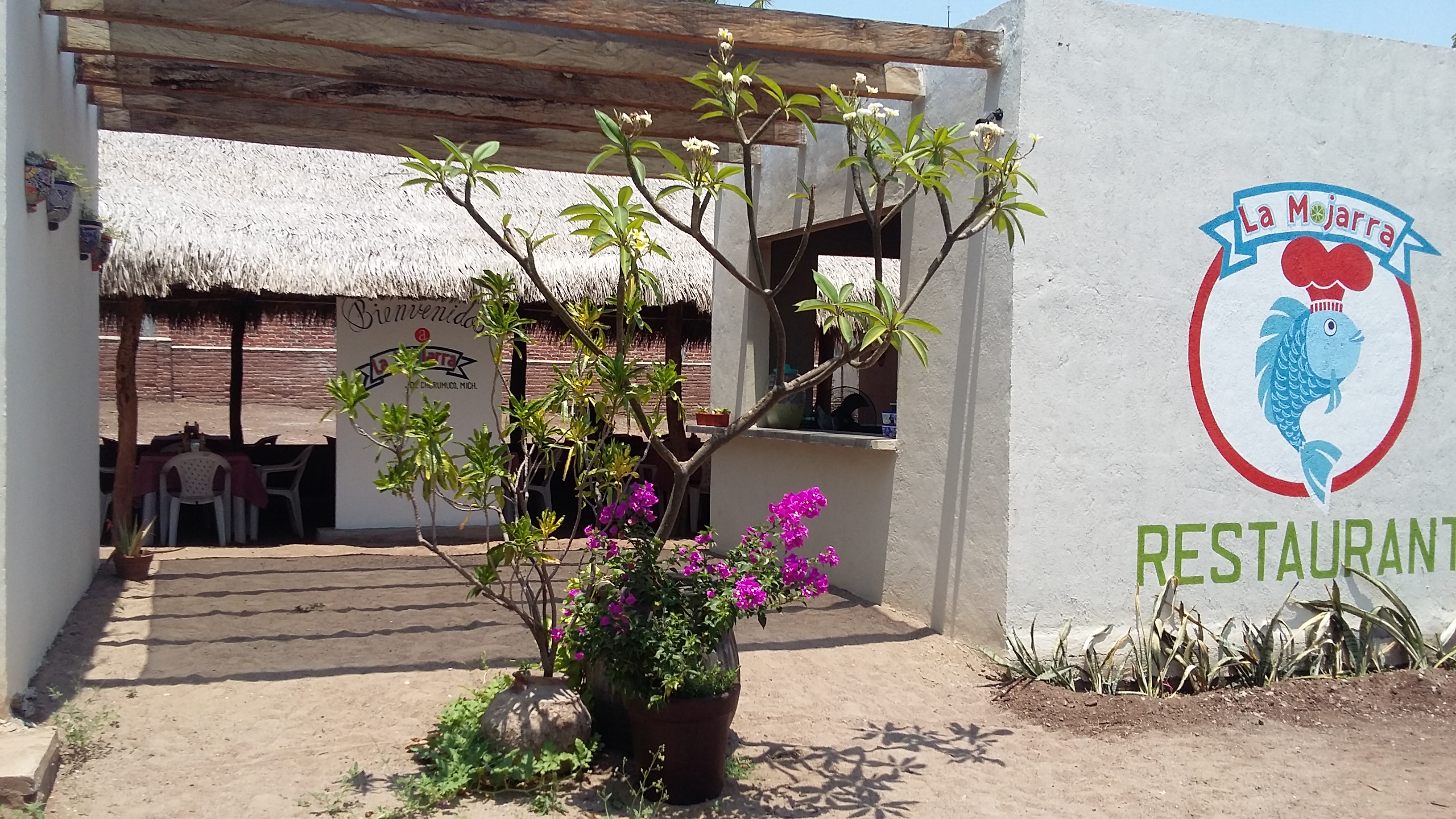 La Mojarra de Churumuco image 6