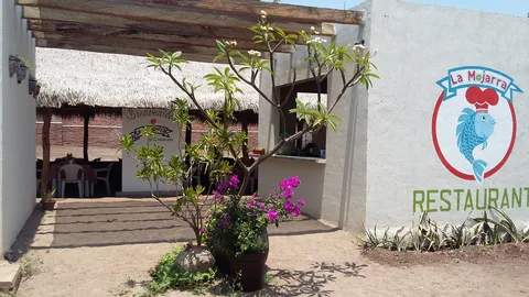 La Mojarra de Churumuco image 6