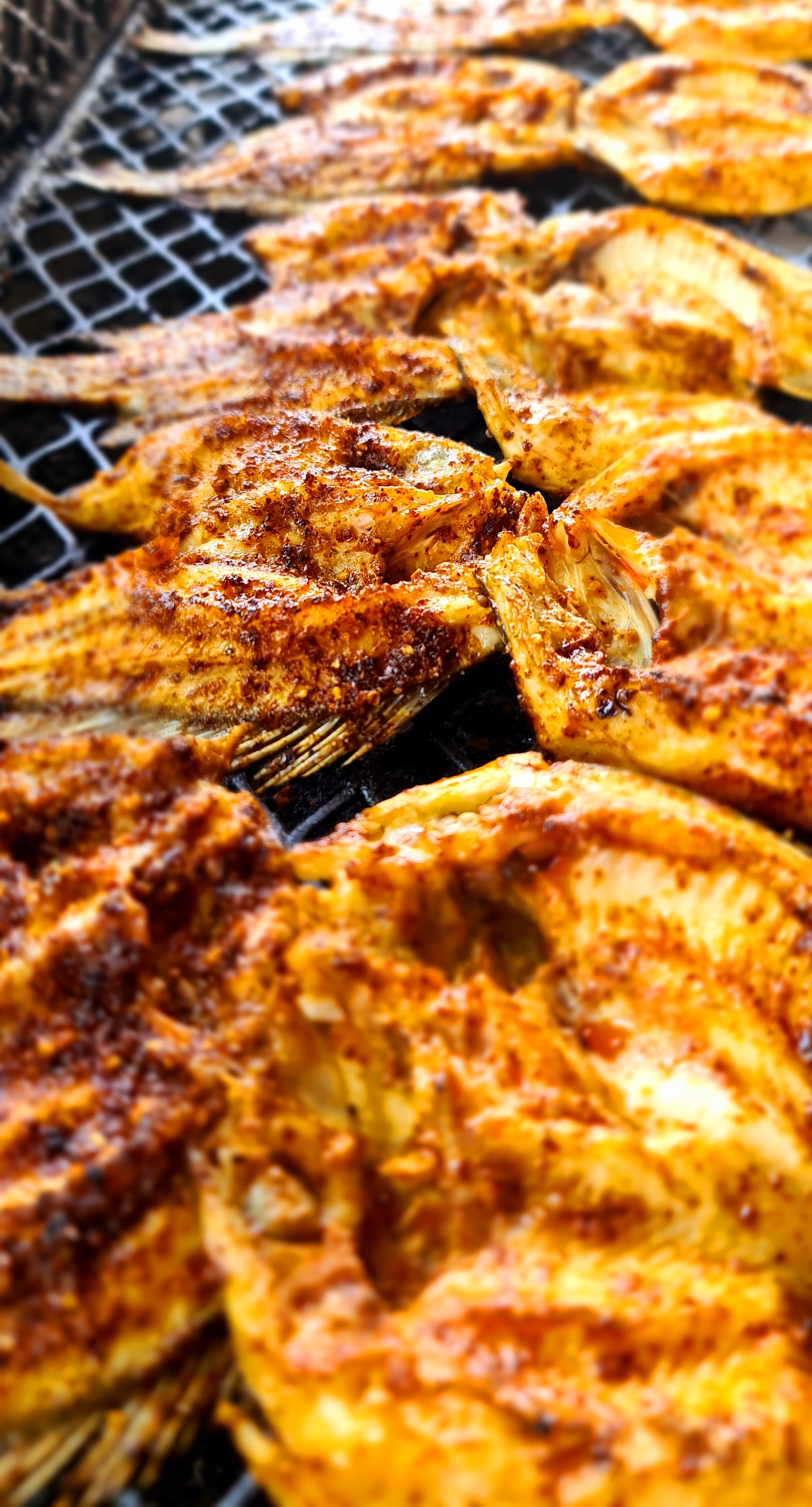 La Mojarra de Churumuco image 8