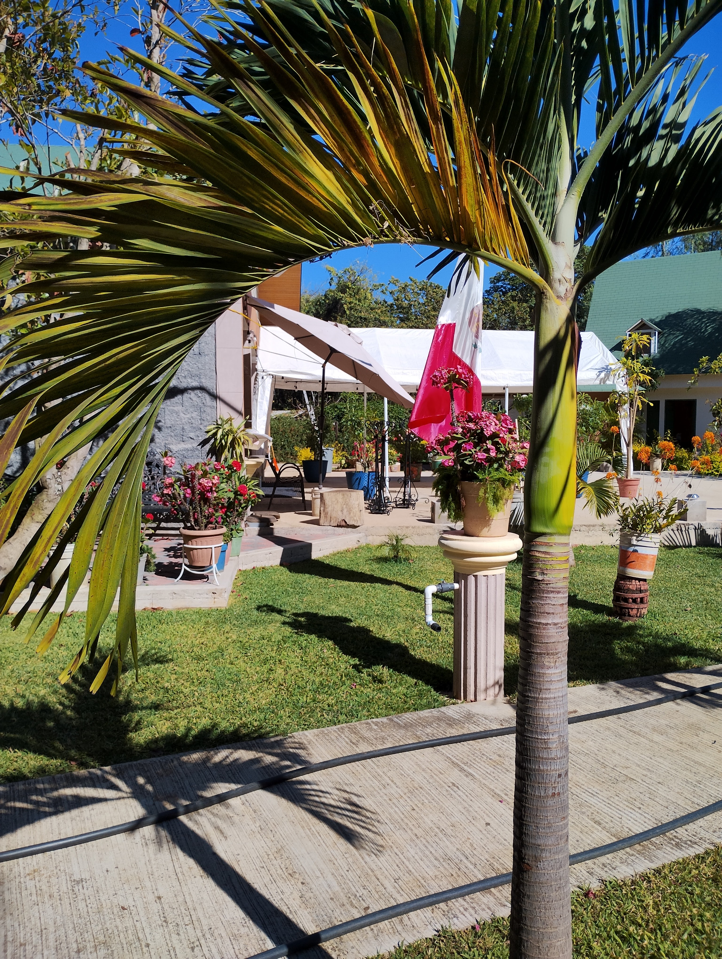 Maria Bonita Restaurante Familiar image 3