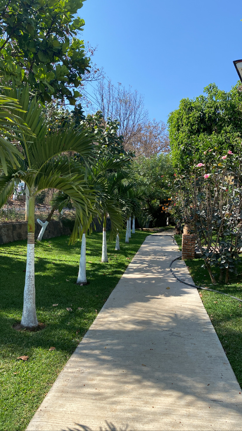 Maria Bonita Restaurante Familiar image 7