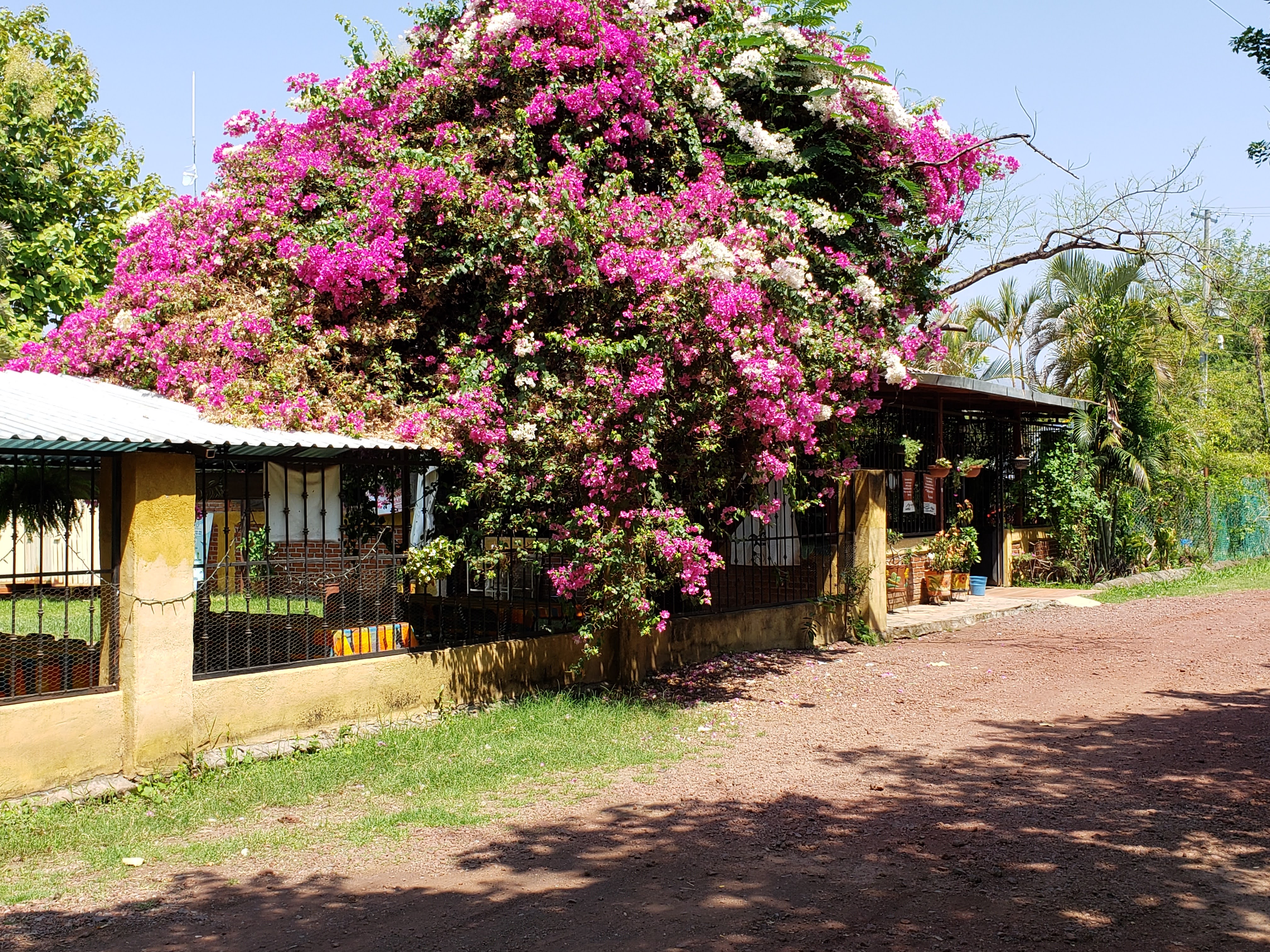 Restaurante "La Casita" image 10