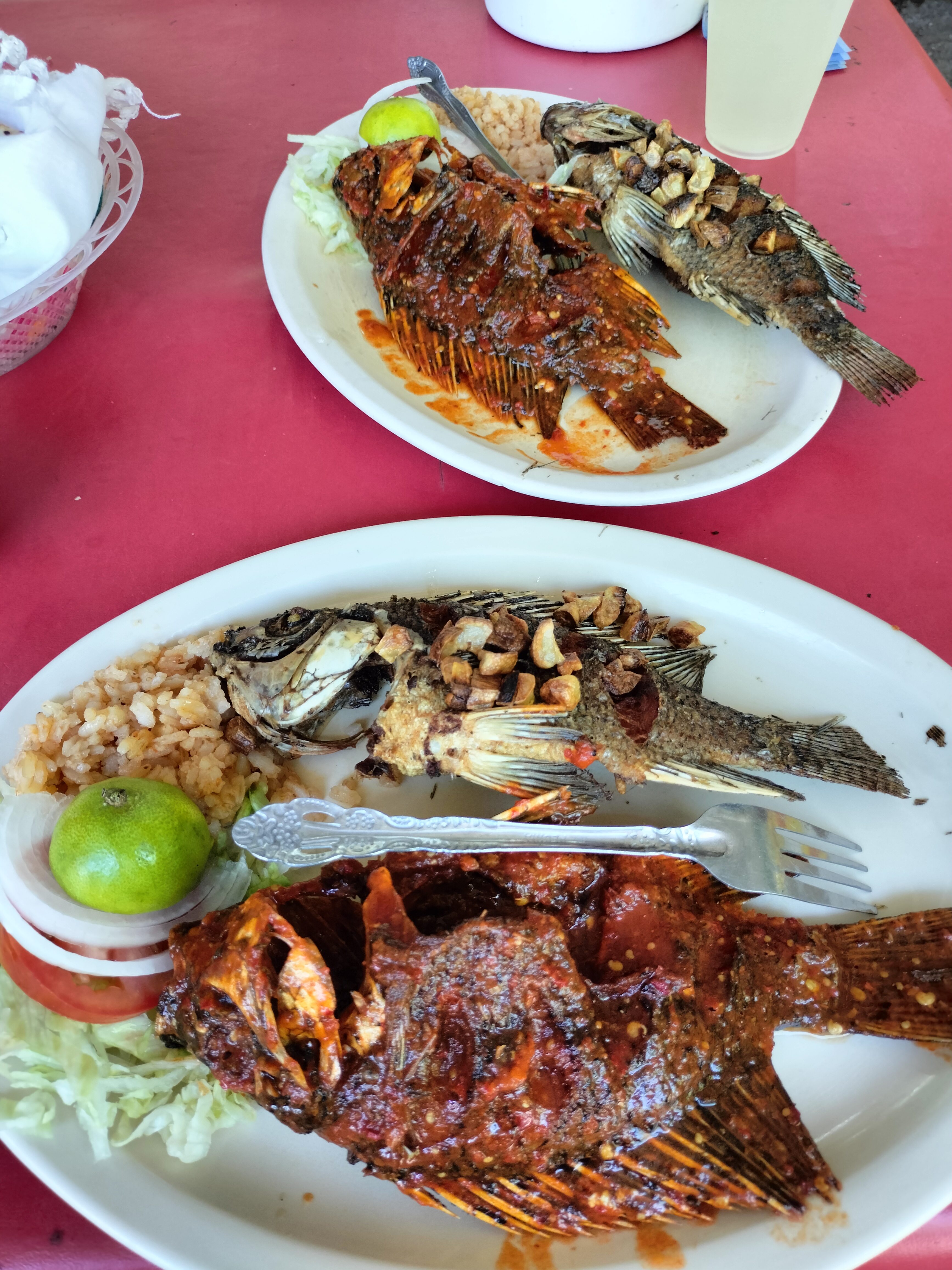 La Cabaña Escondida image 1