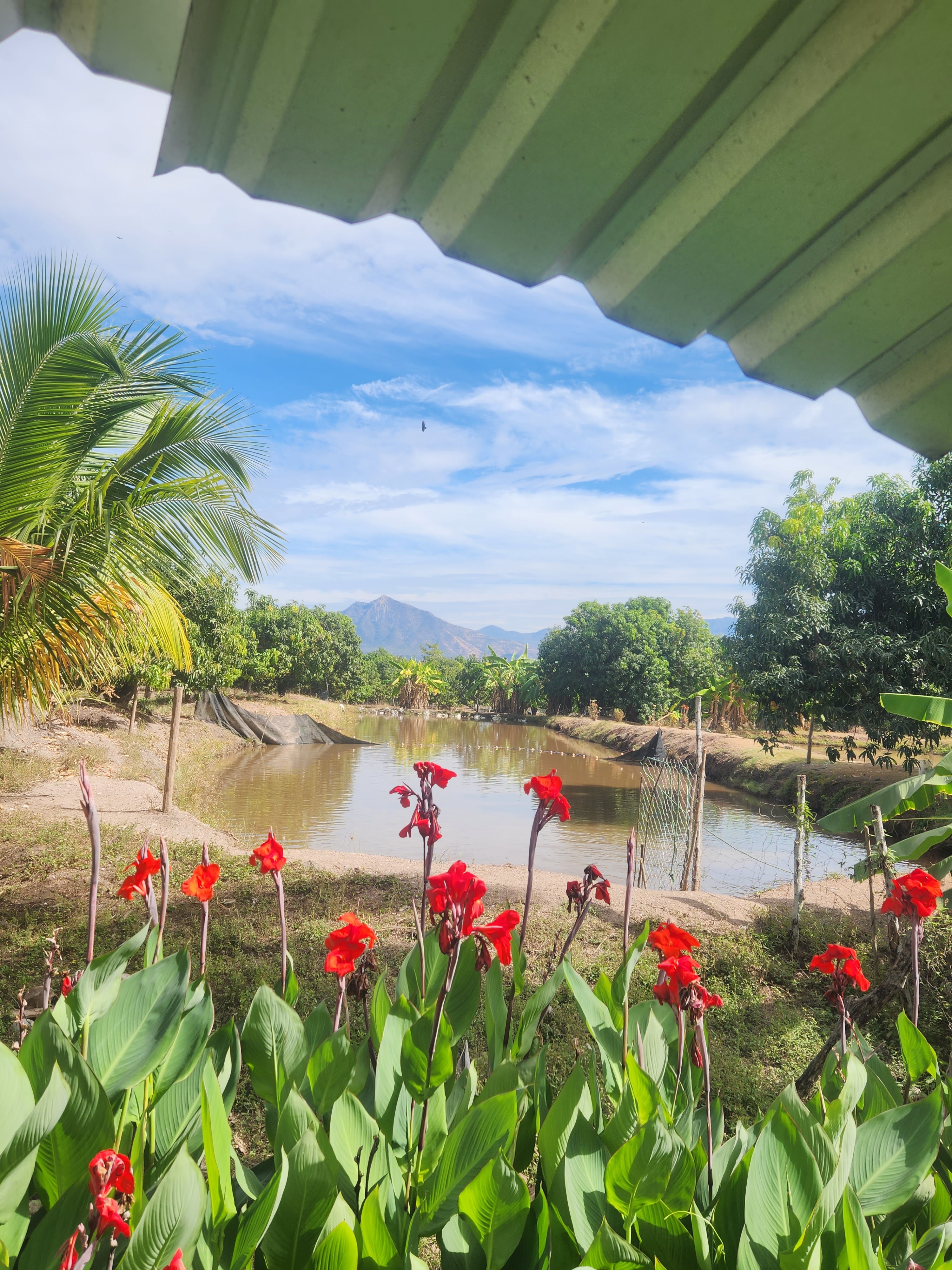 La Cabaña Escondida image 3