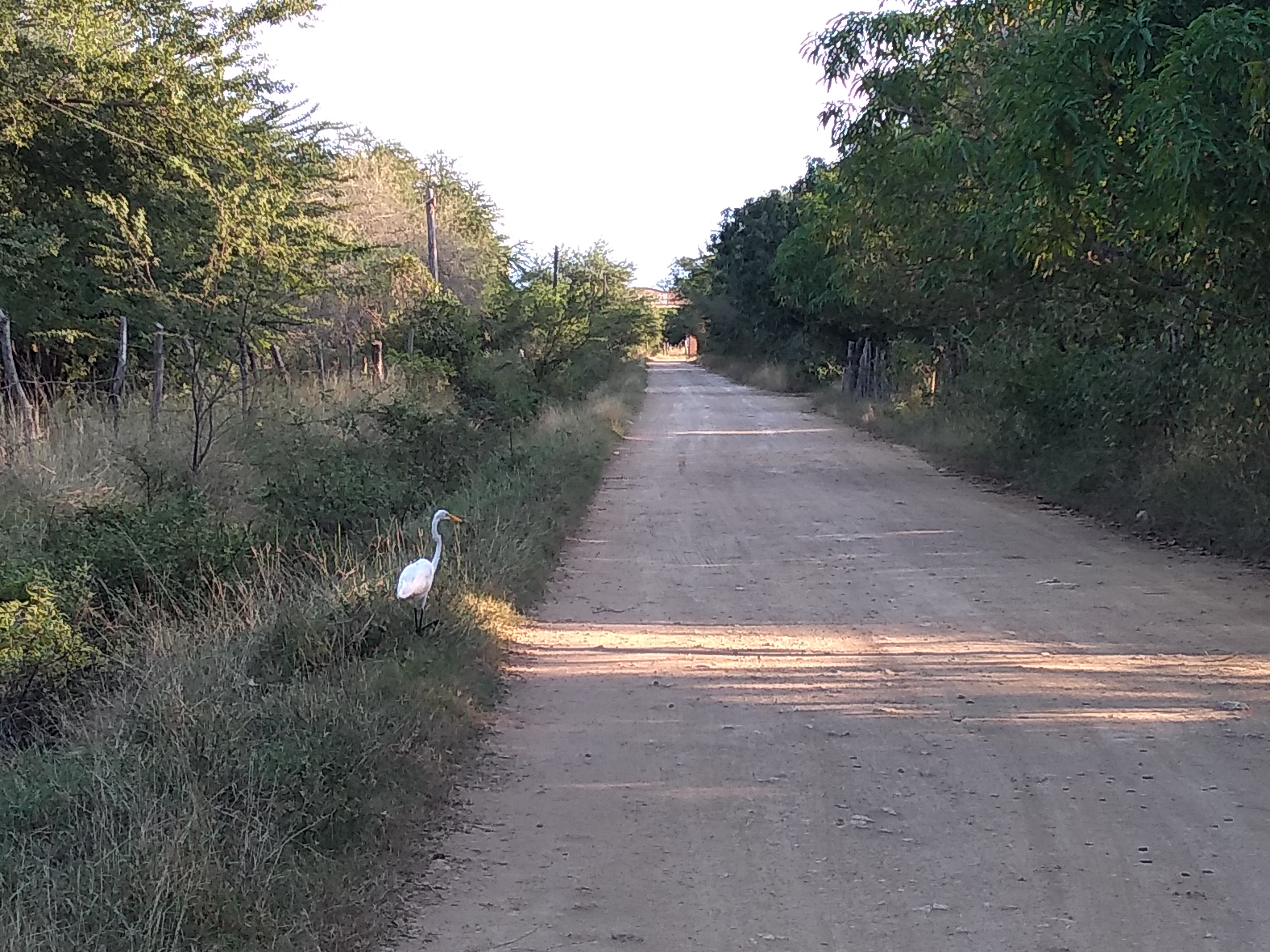 La Cabaña Escondida image 6