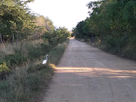 La Cabaña Escondida image 6