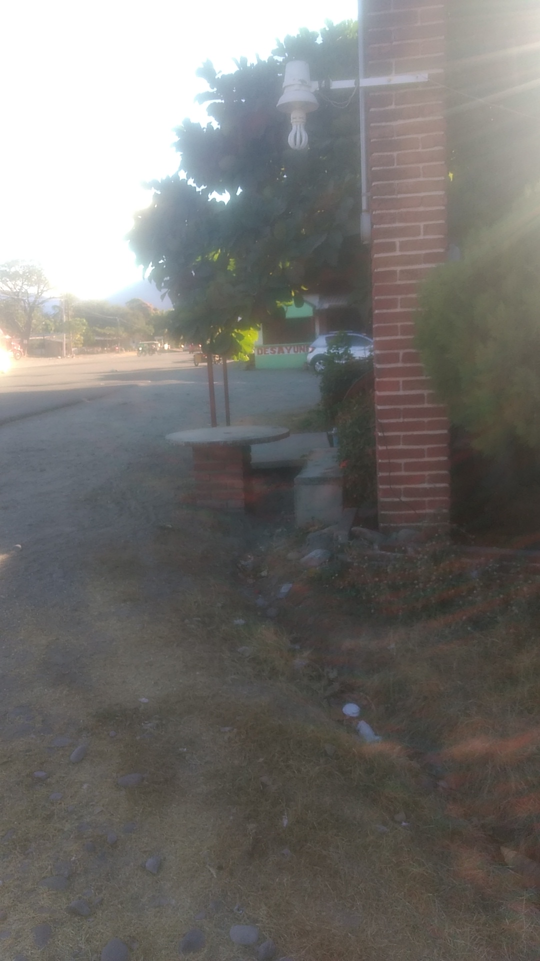 Restaurant "Mi Familia" image 10