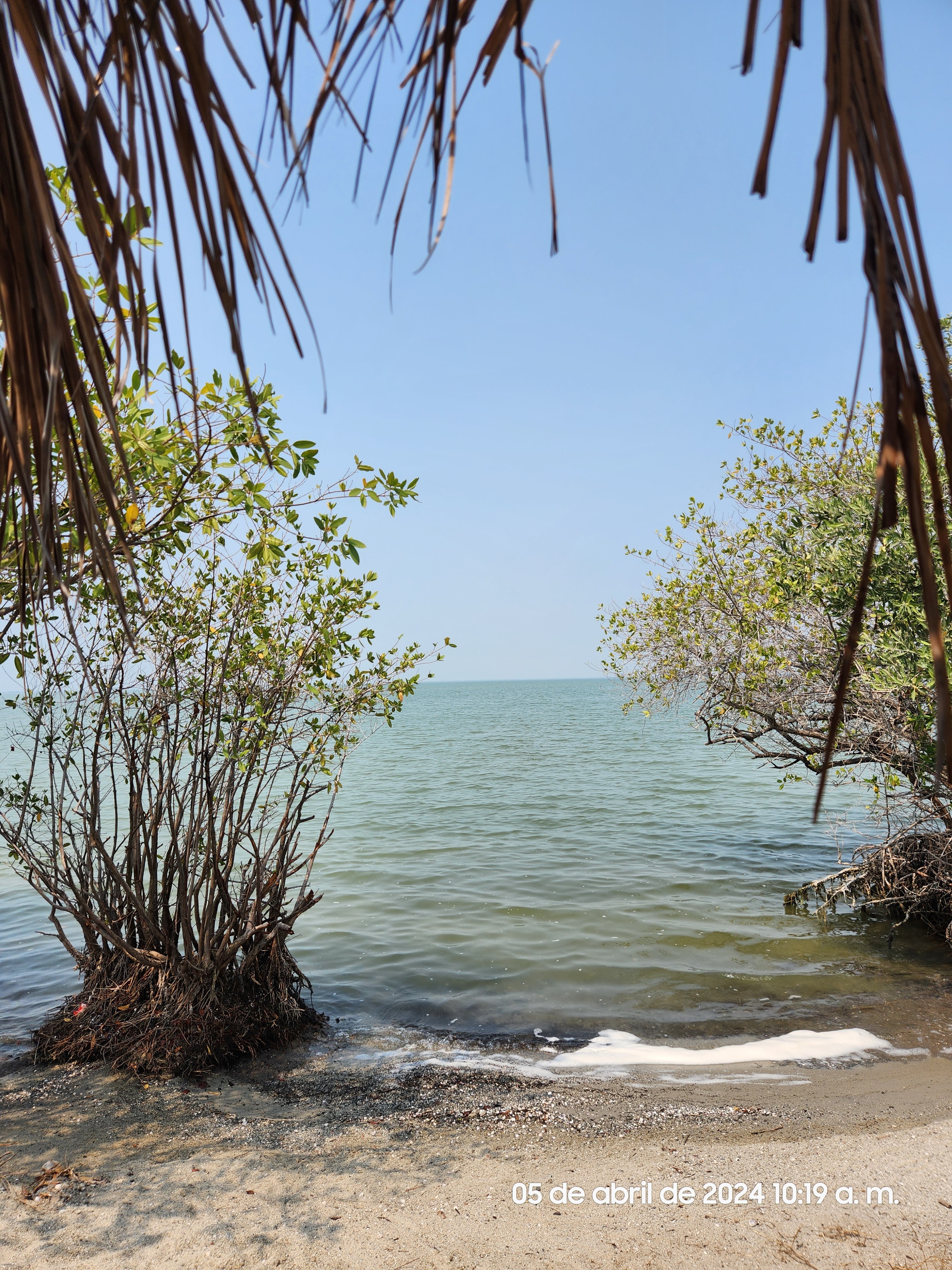 RESTAURANTE PLAYA ESCONDIDA image 2