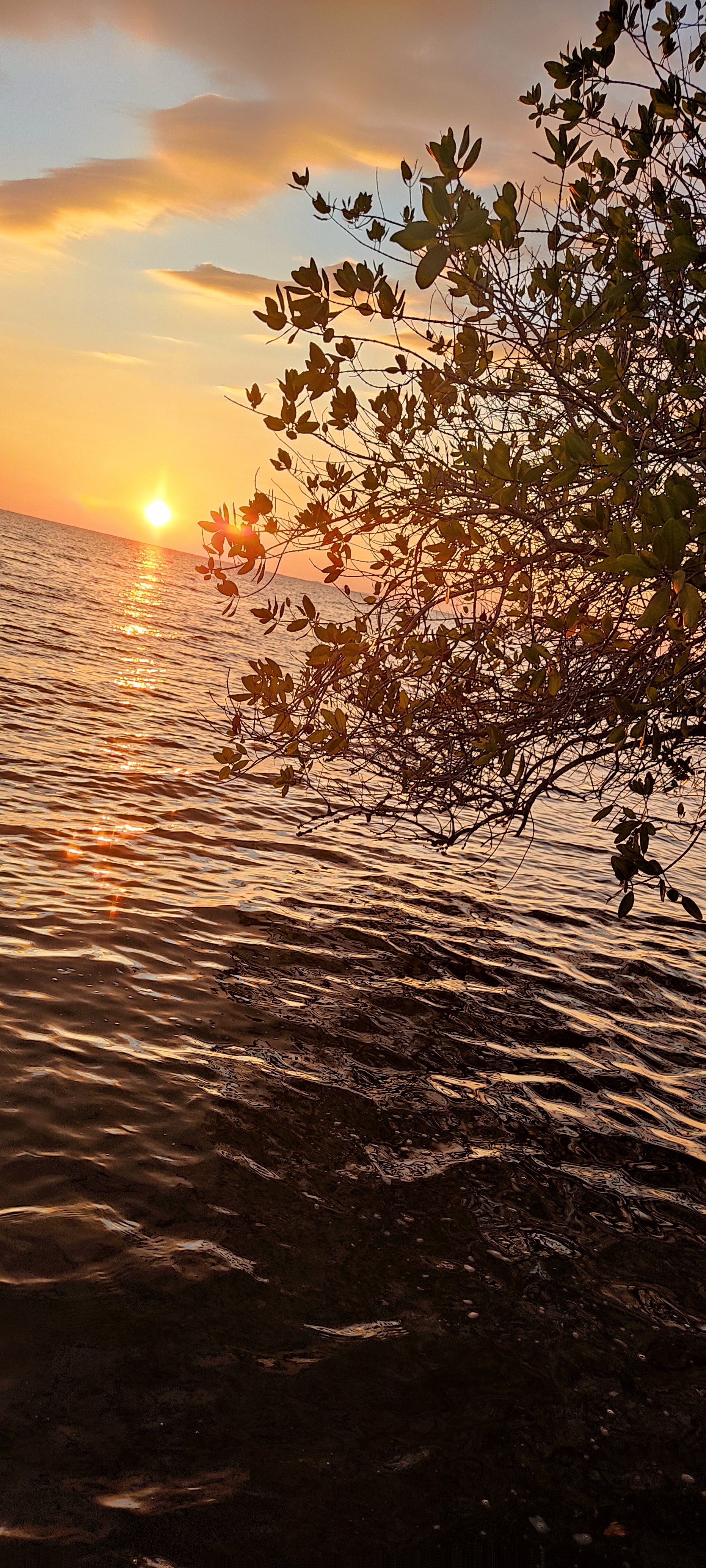 RESTAURANTE PLAYA ESCONDIDA image 9
