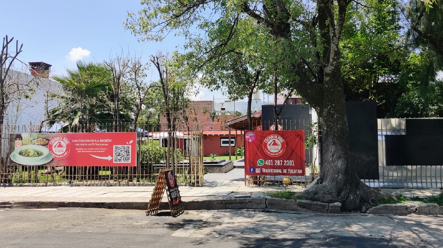 Tradicional de Yucatán image 4