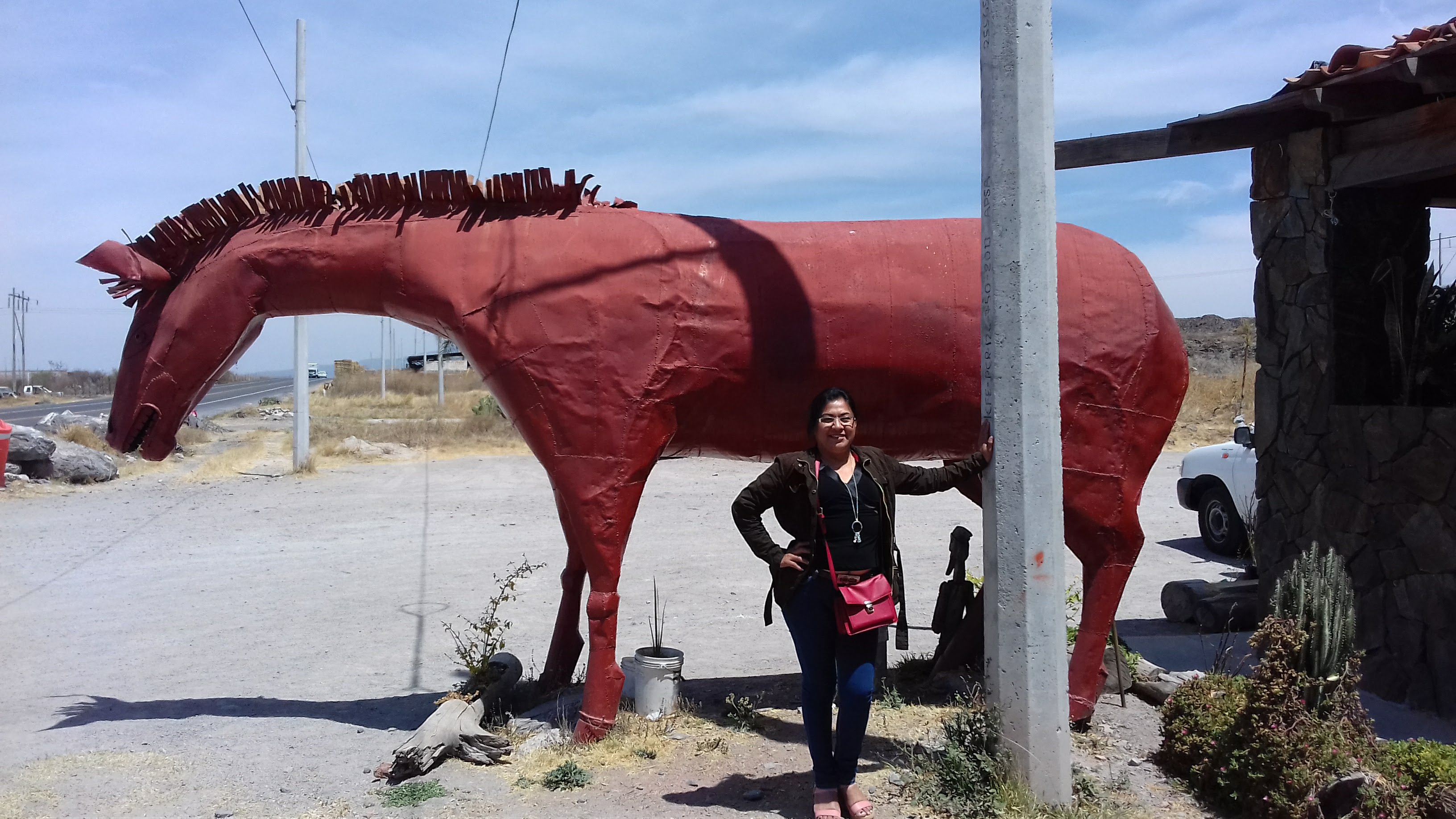 Restaurant Buffet Campirano Comonfort image 4