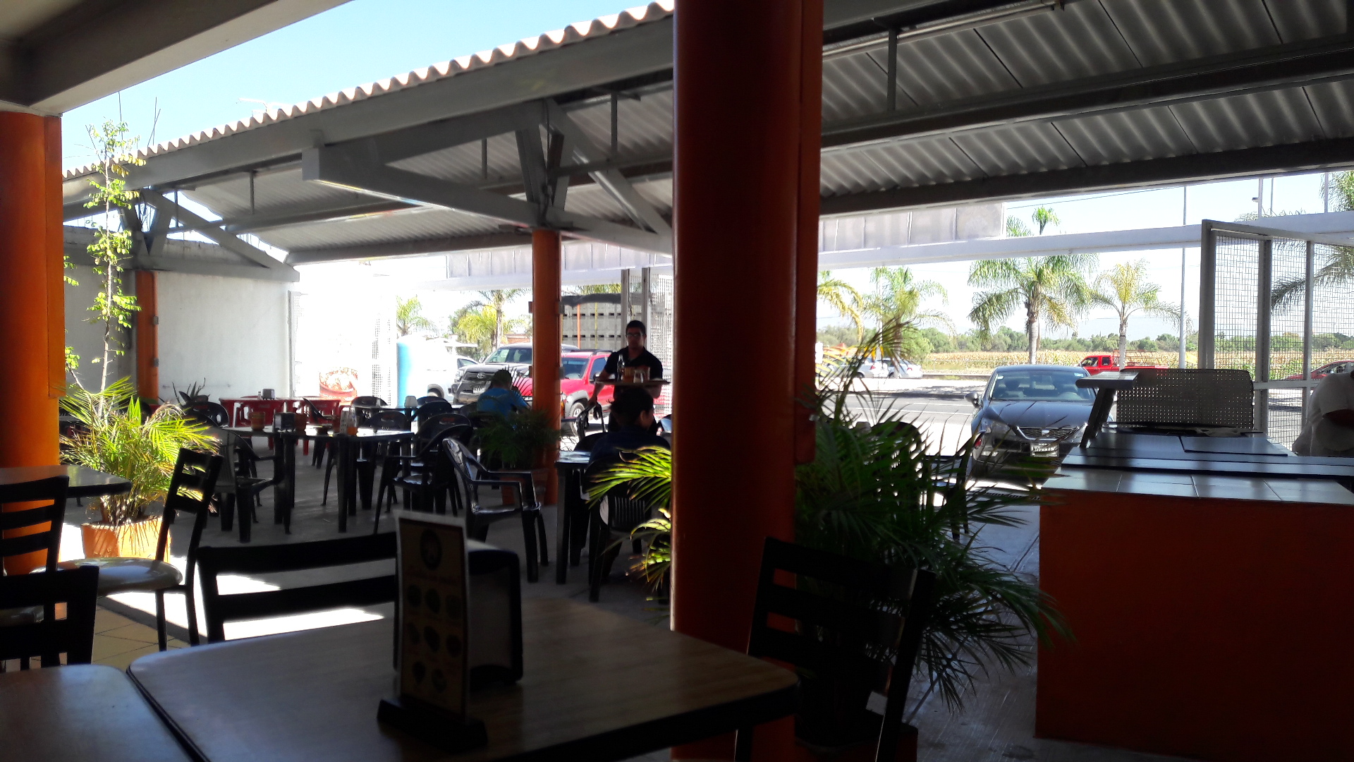 El Tapatío birria estilo Jalisco image 7