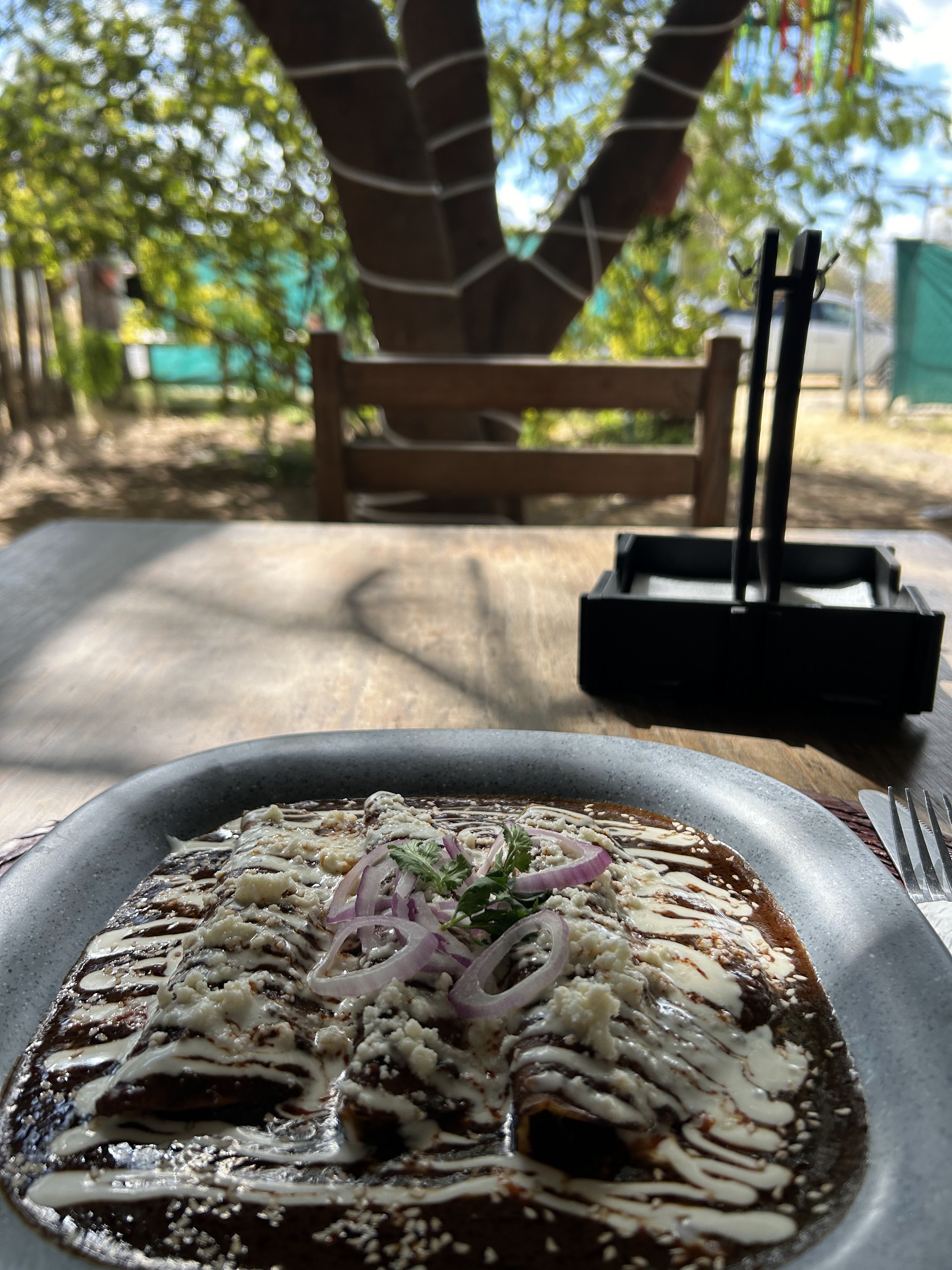 Colibrí restaurante image 7