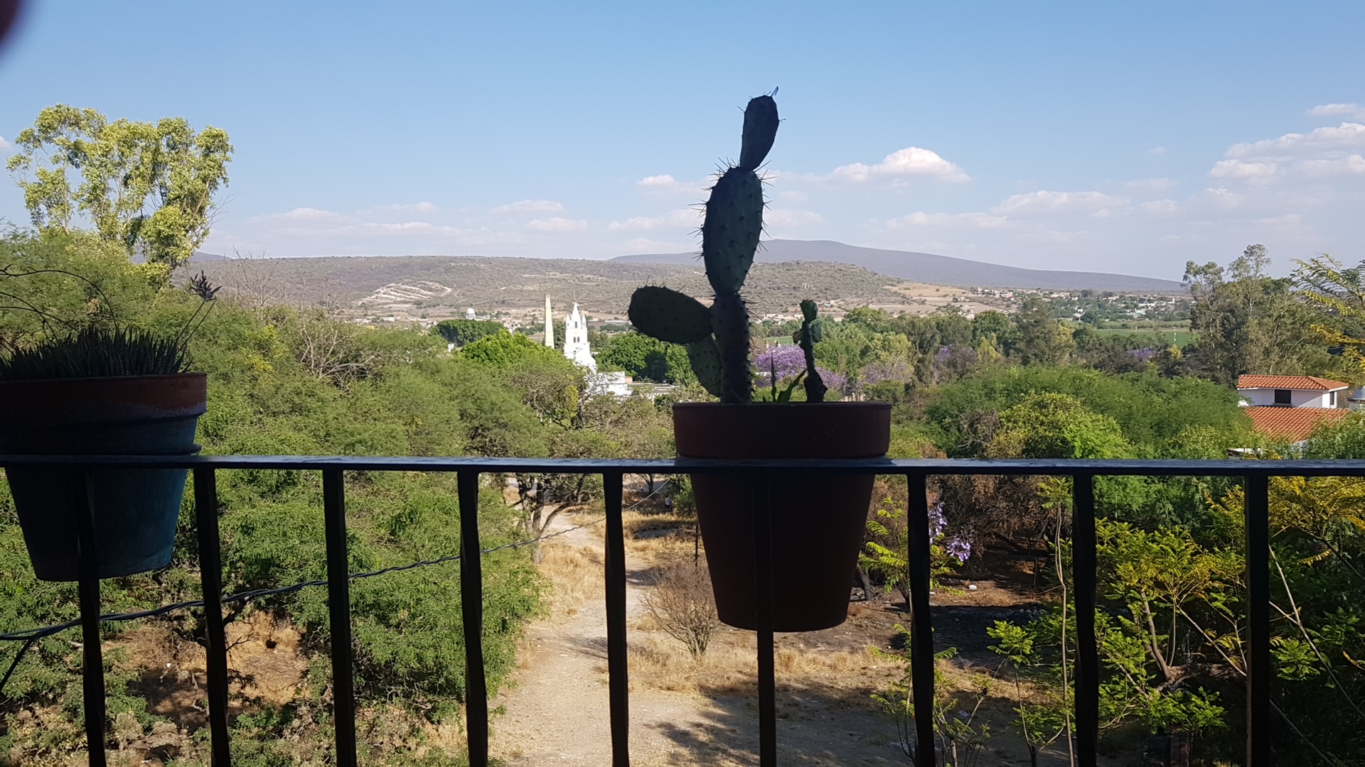 Restaurant La Tregua image 8