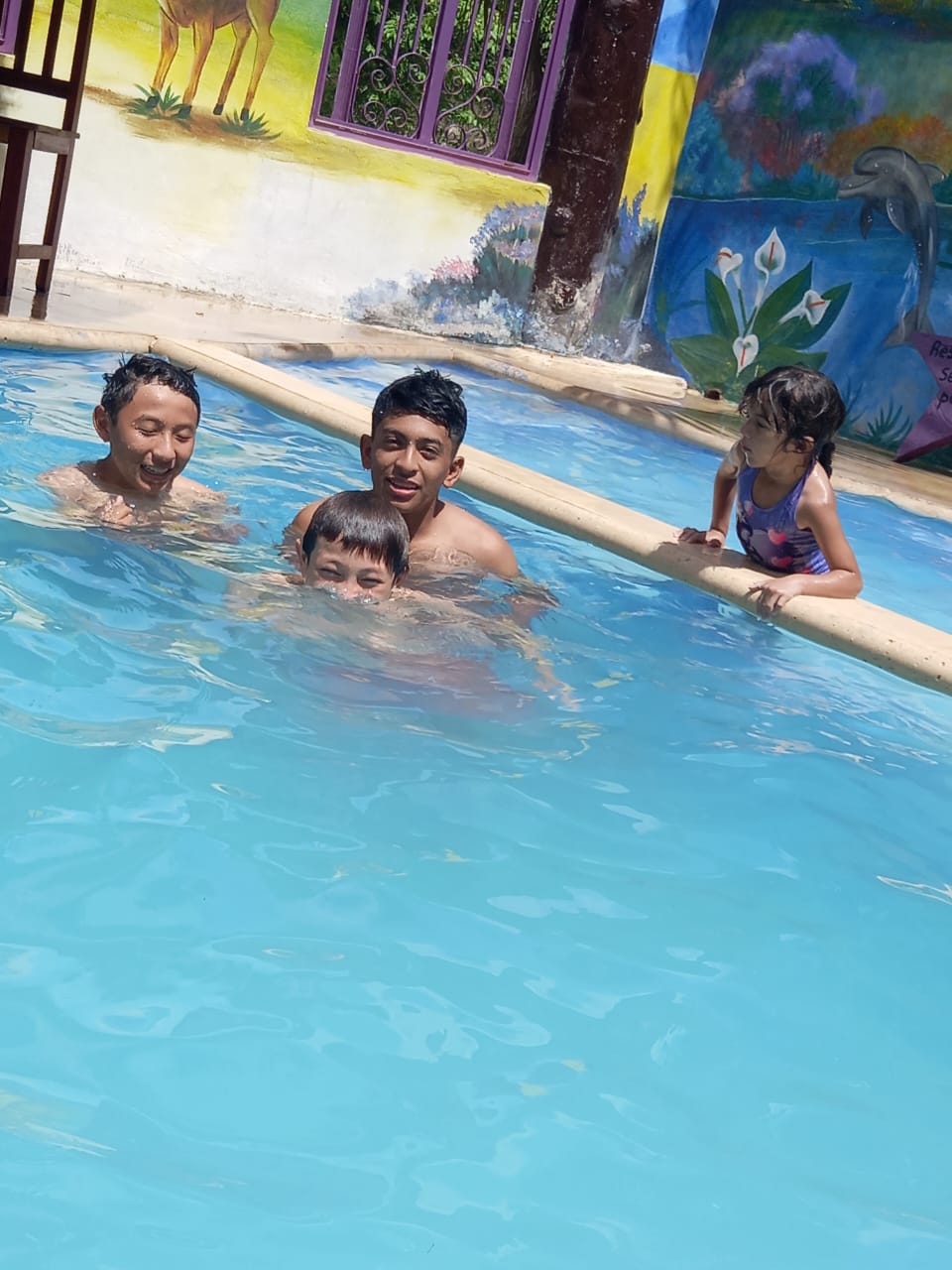 Casa de strellita image 10