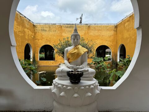 La Casa de Los Lotos image 4