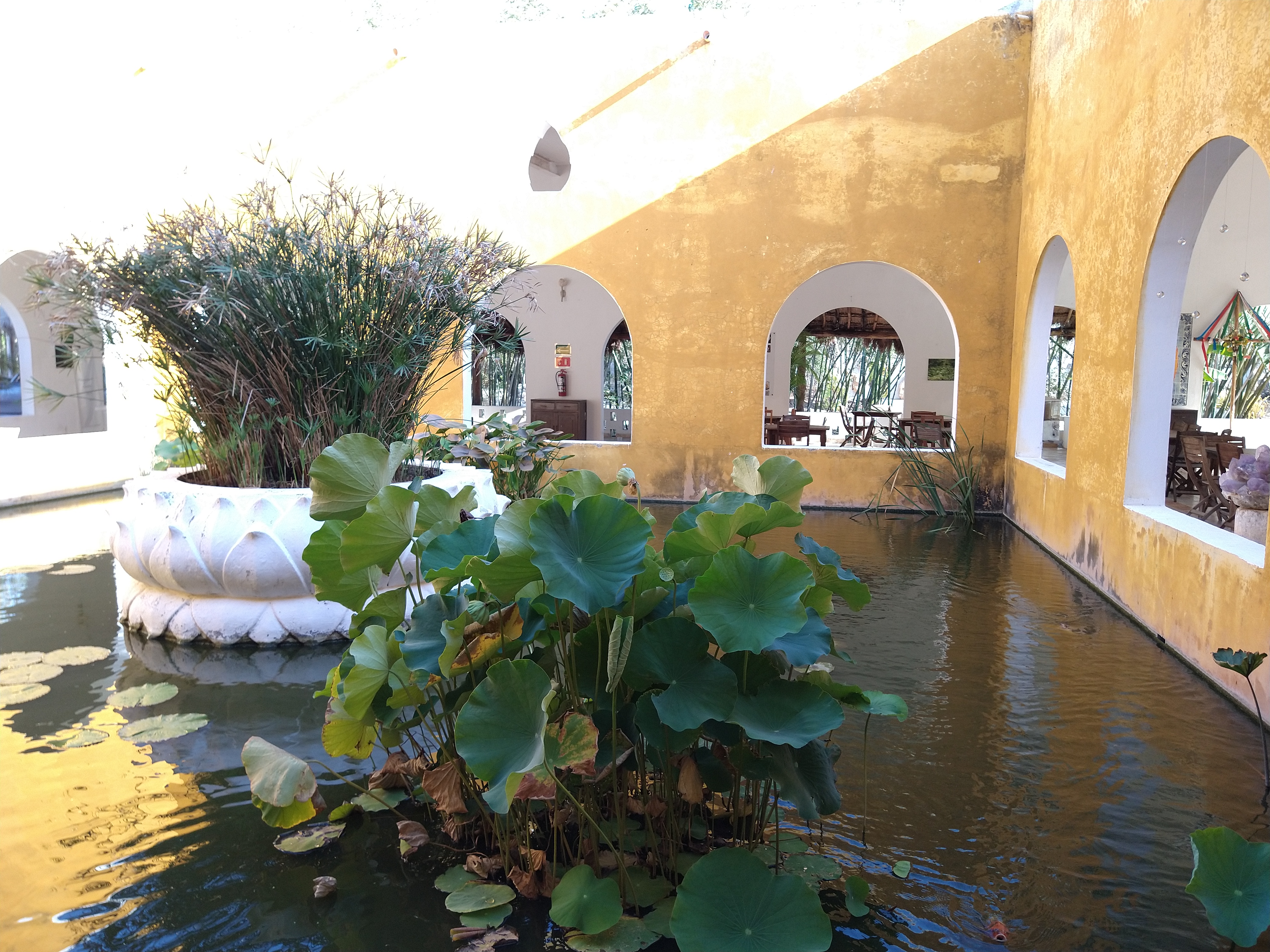 La Casa de Los Lotos image 6