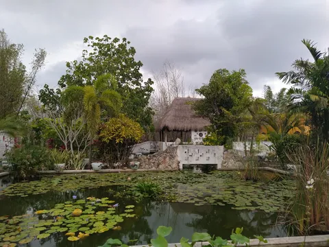 La Casa de Los Lotos image 7