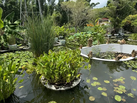 La Casa de Los Lotos image 9