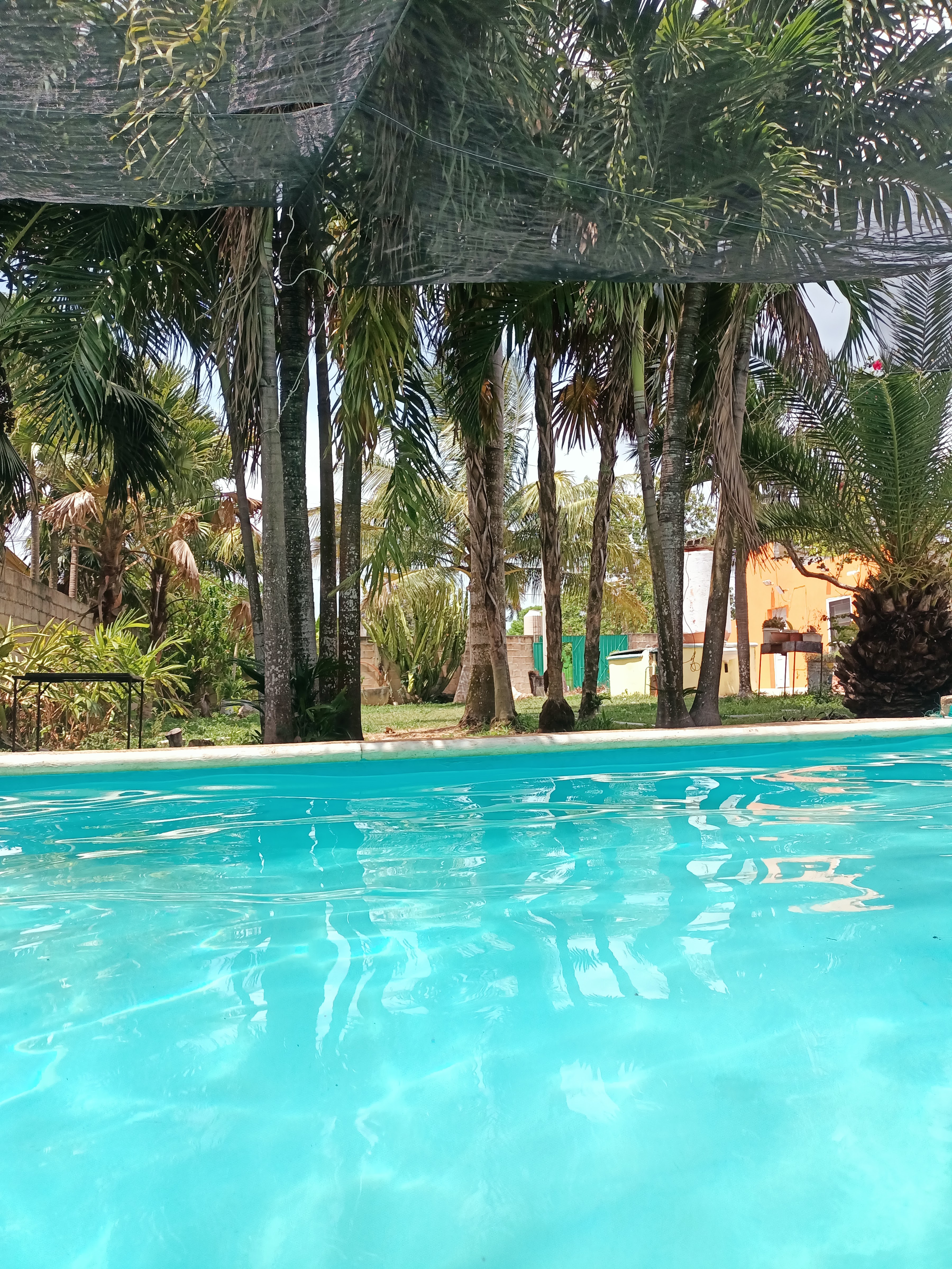 El 27 - Cocina de Autor image 8