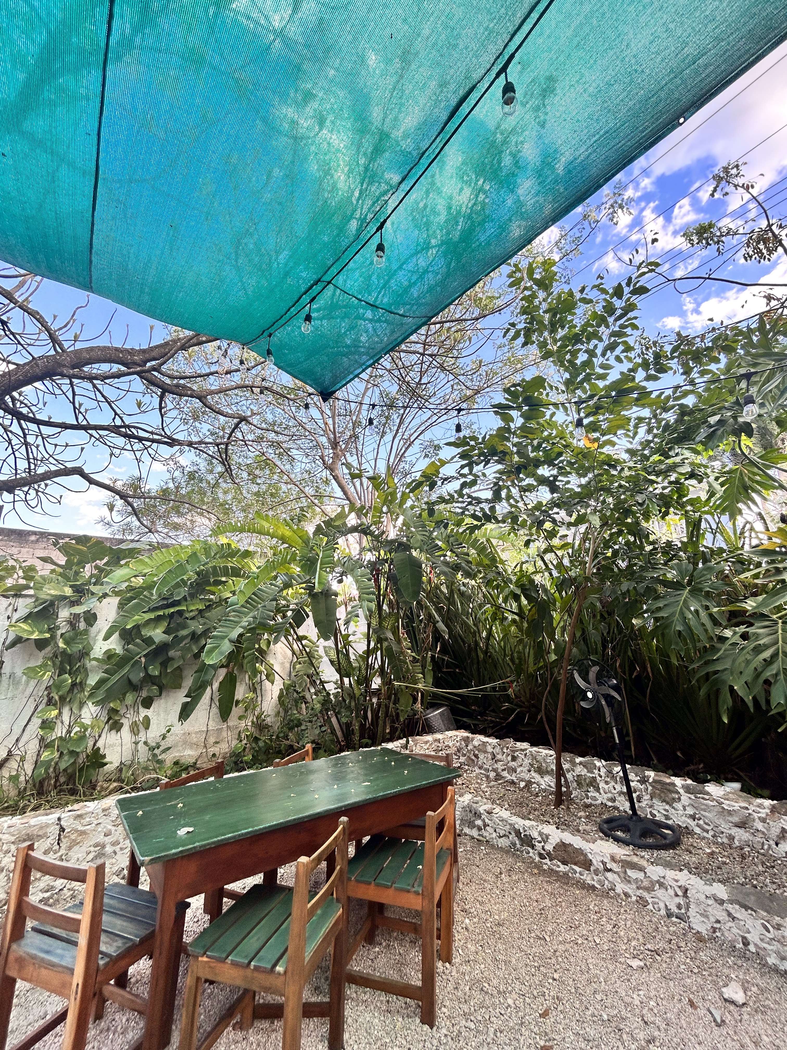 Mercreativo-Colibrí&Toh's image 1