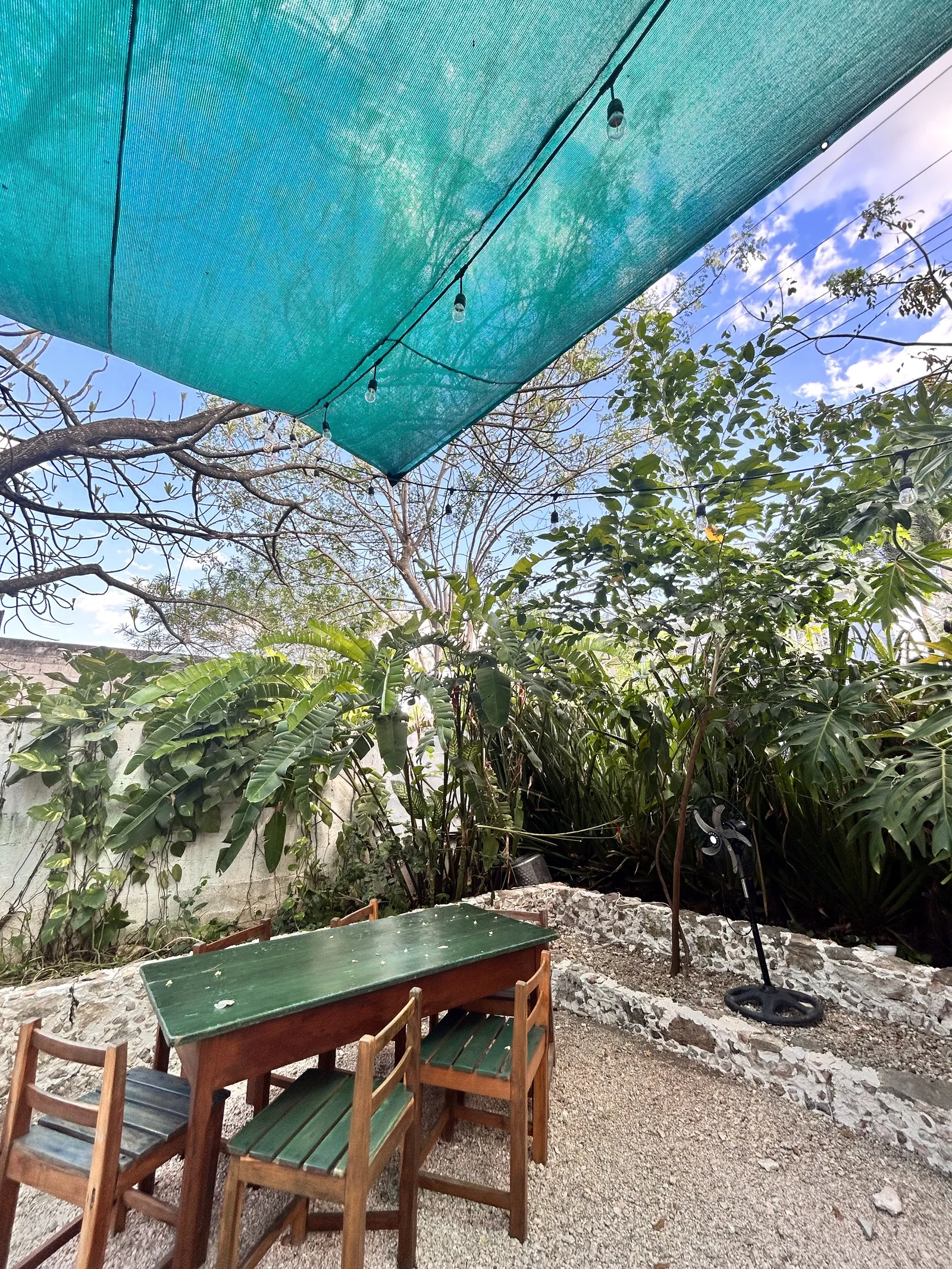 Mercreativo-Colibrí&Toh's image 1