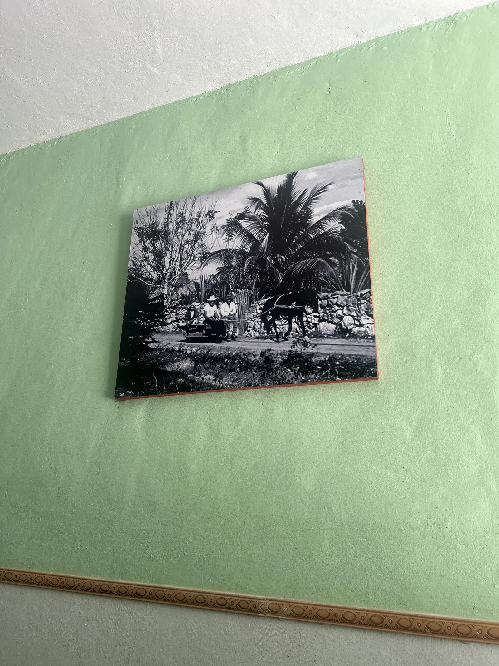 Restaurante Janal Ki' con sabor a Motul image 10
