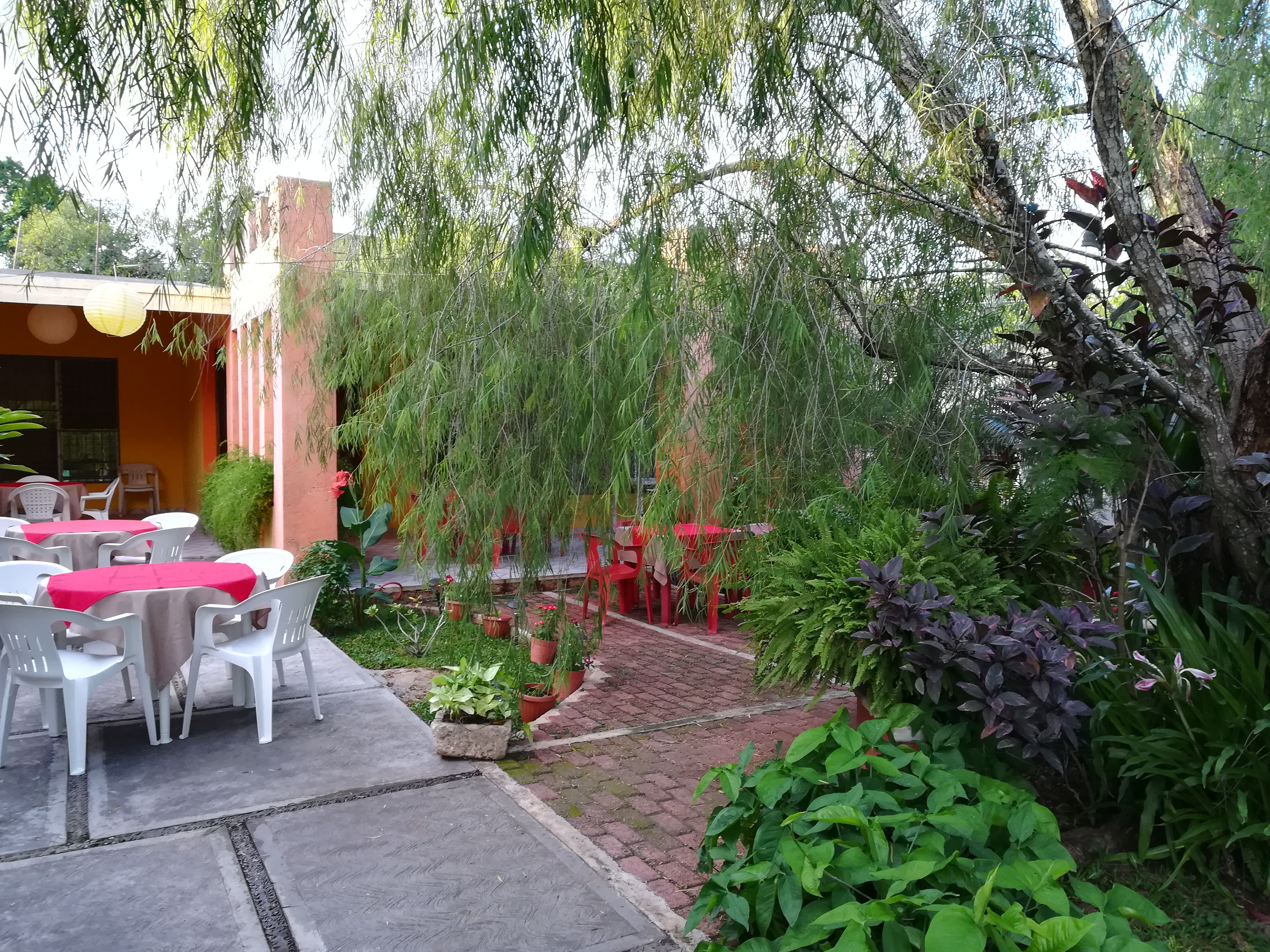 ~Luna Coffee & Pasta~ image 6