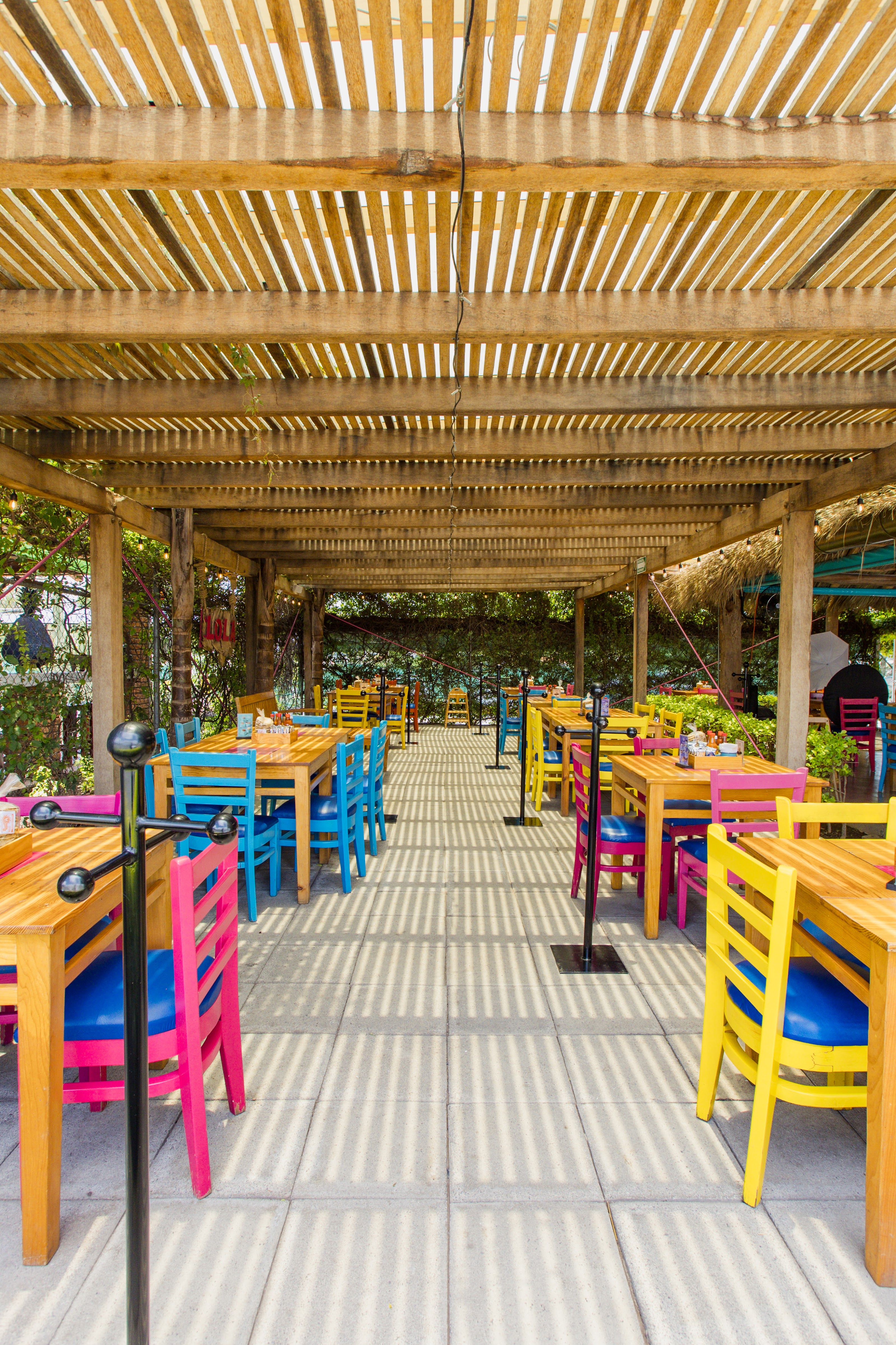 Lola Del Mar image 1