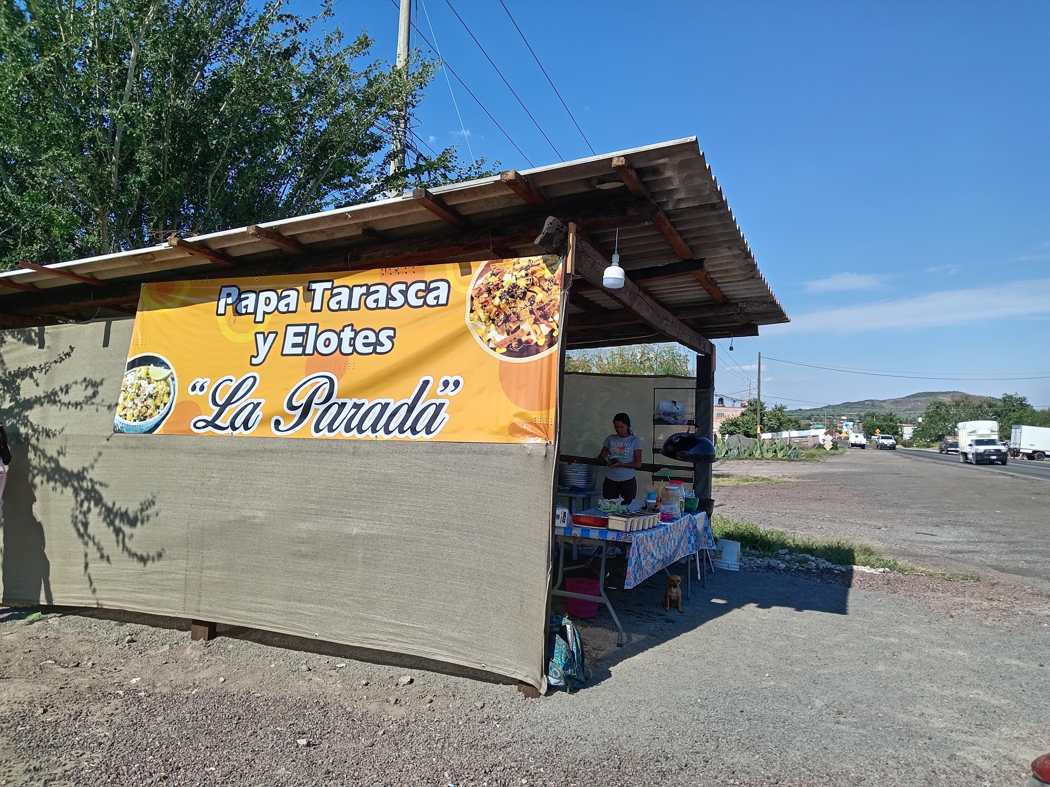 Papas tarascas y elotes la parada image 2