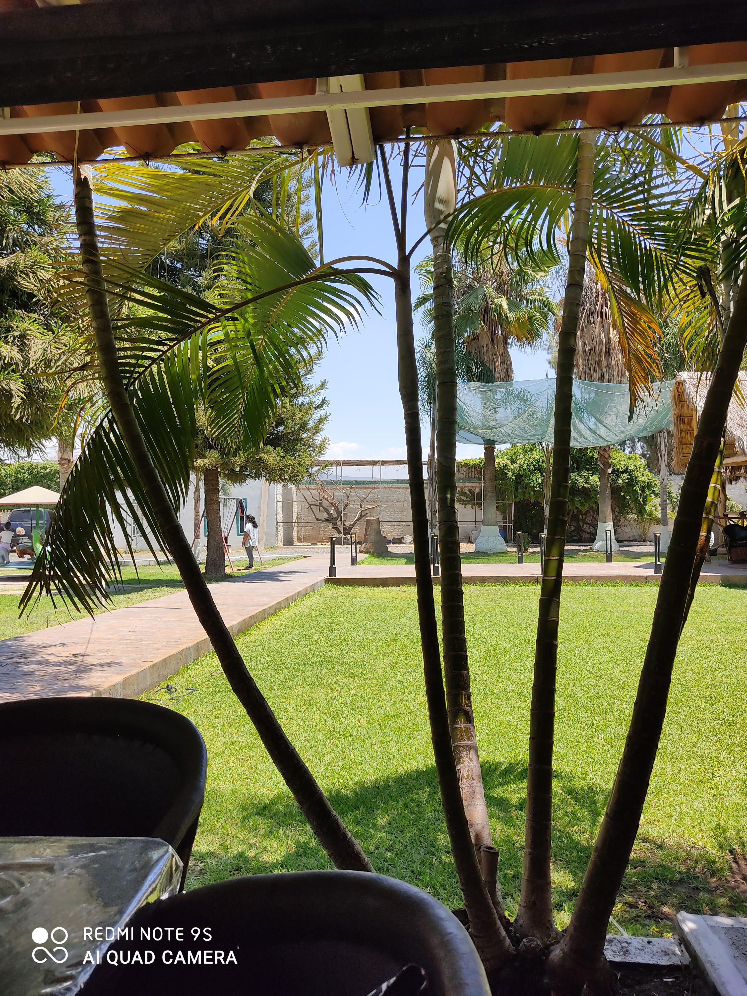 Restaurante Mariscos Tijuana image 7