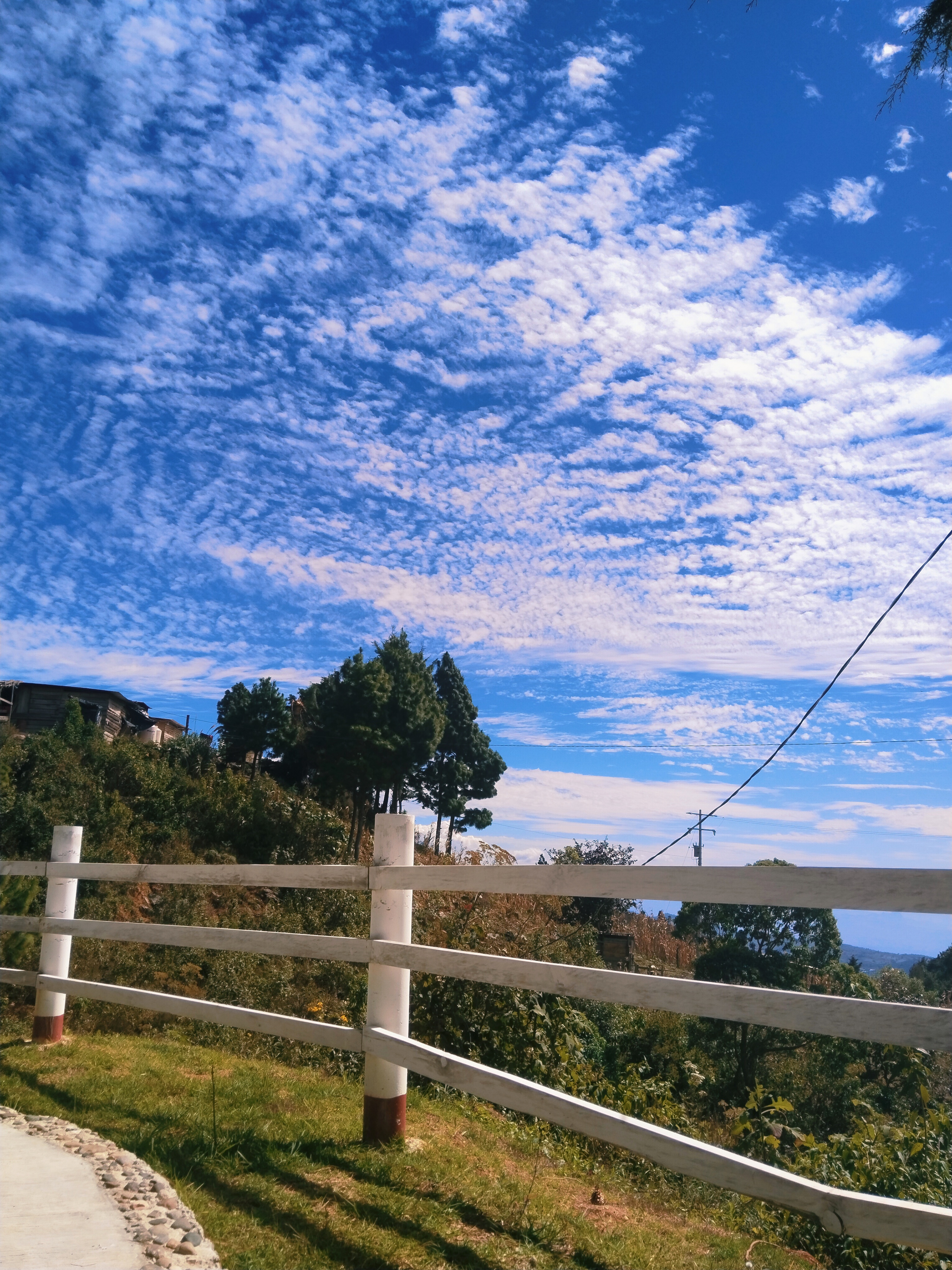Restaurante San Lorenzo Autopista image 5