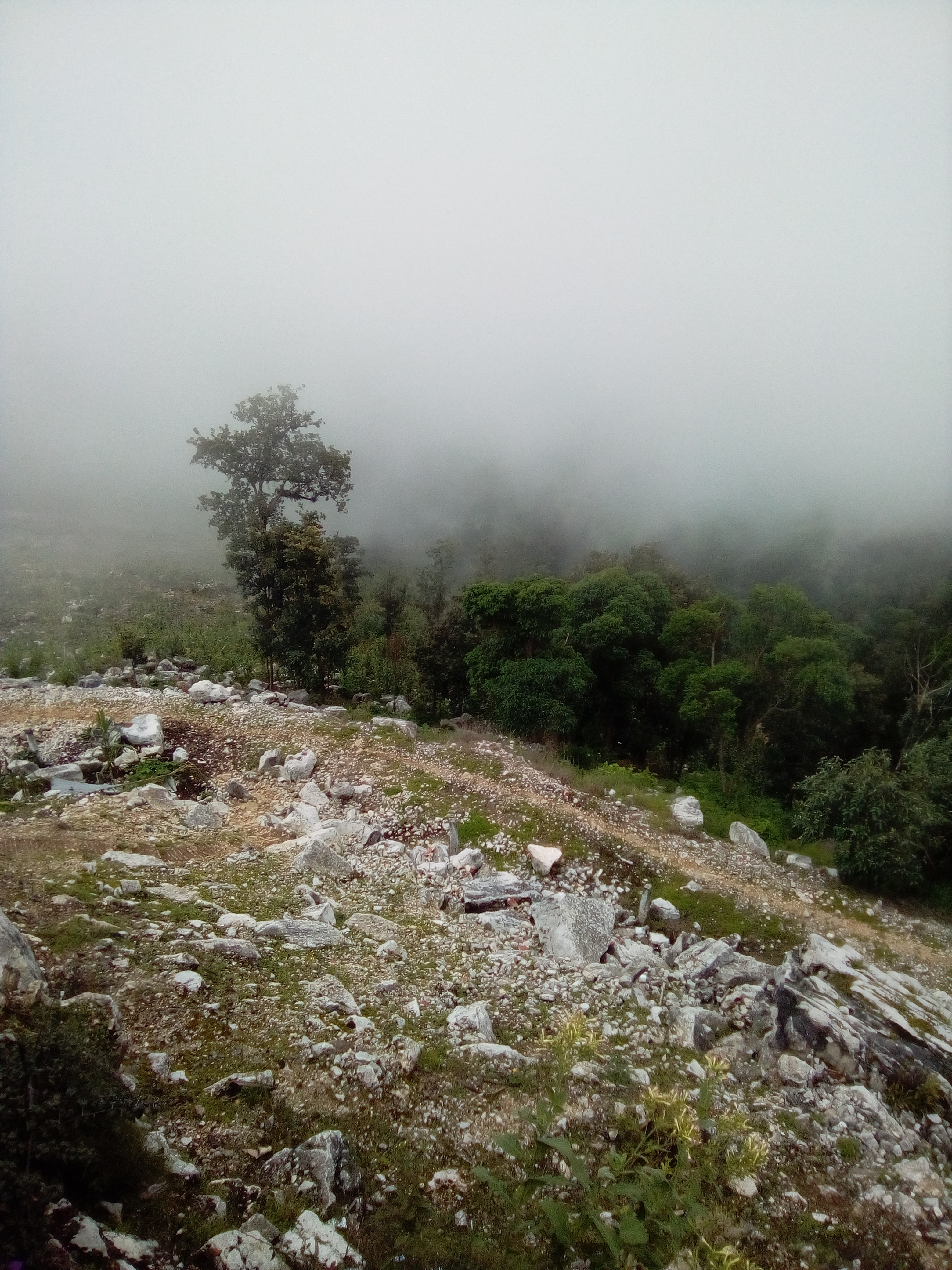 Restaurante "Las Hermanas" image 10