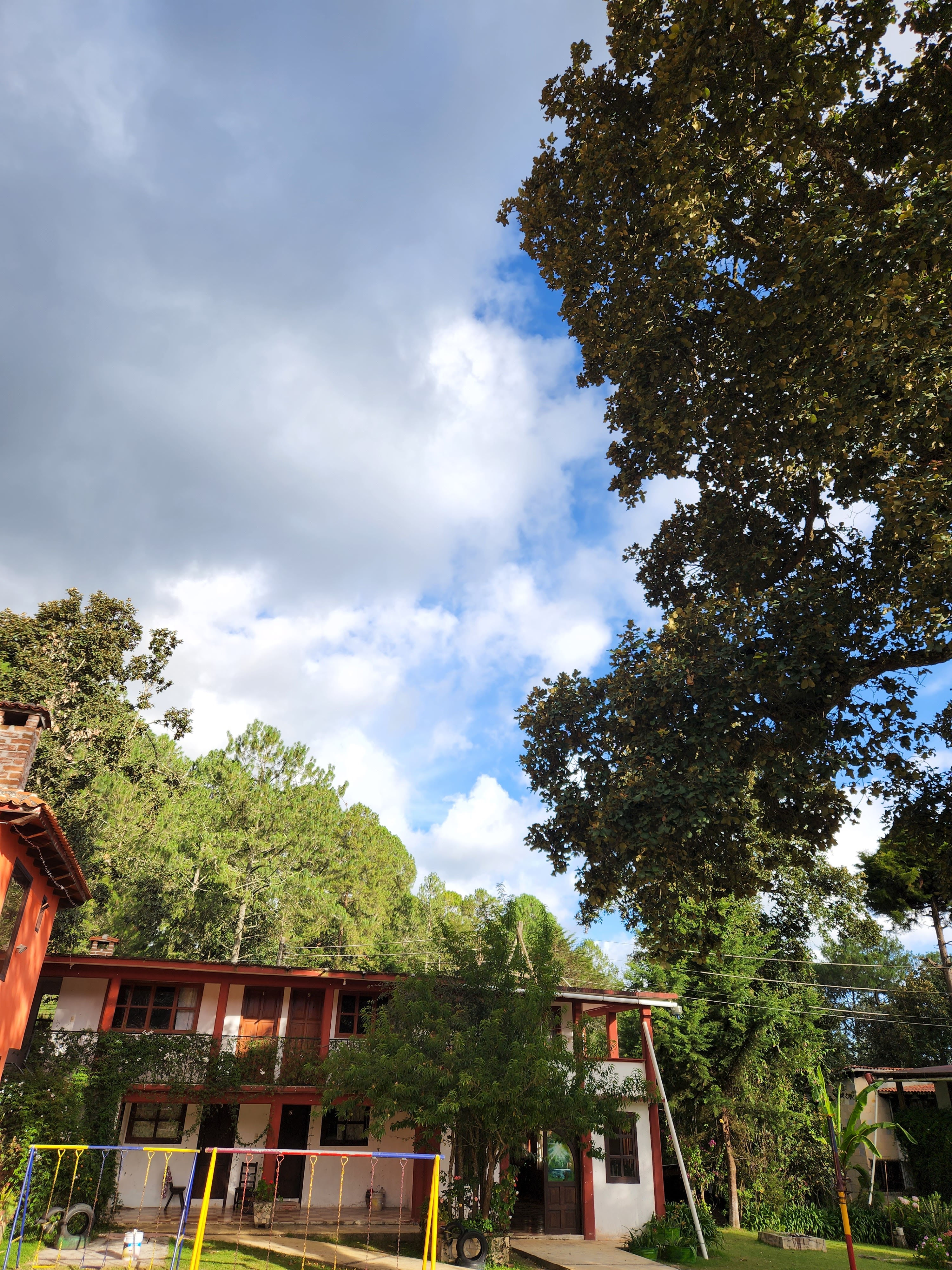 Restaurante las Flores image 3