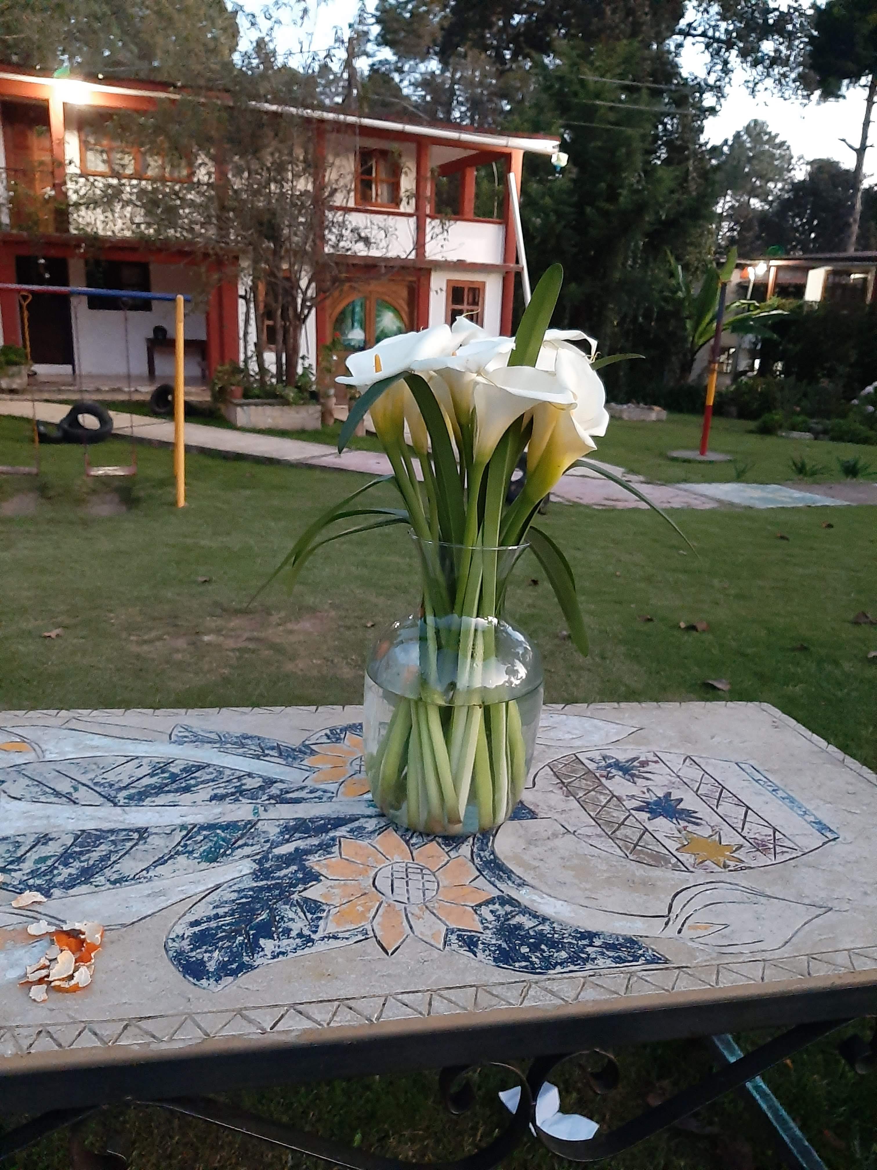 Restaurante las Flores image 7